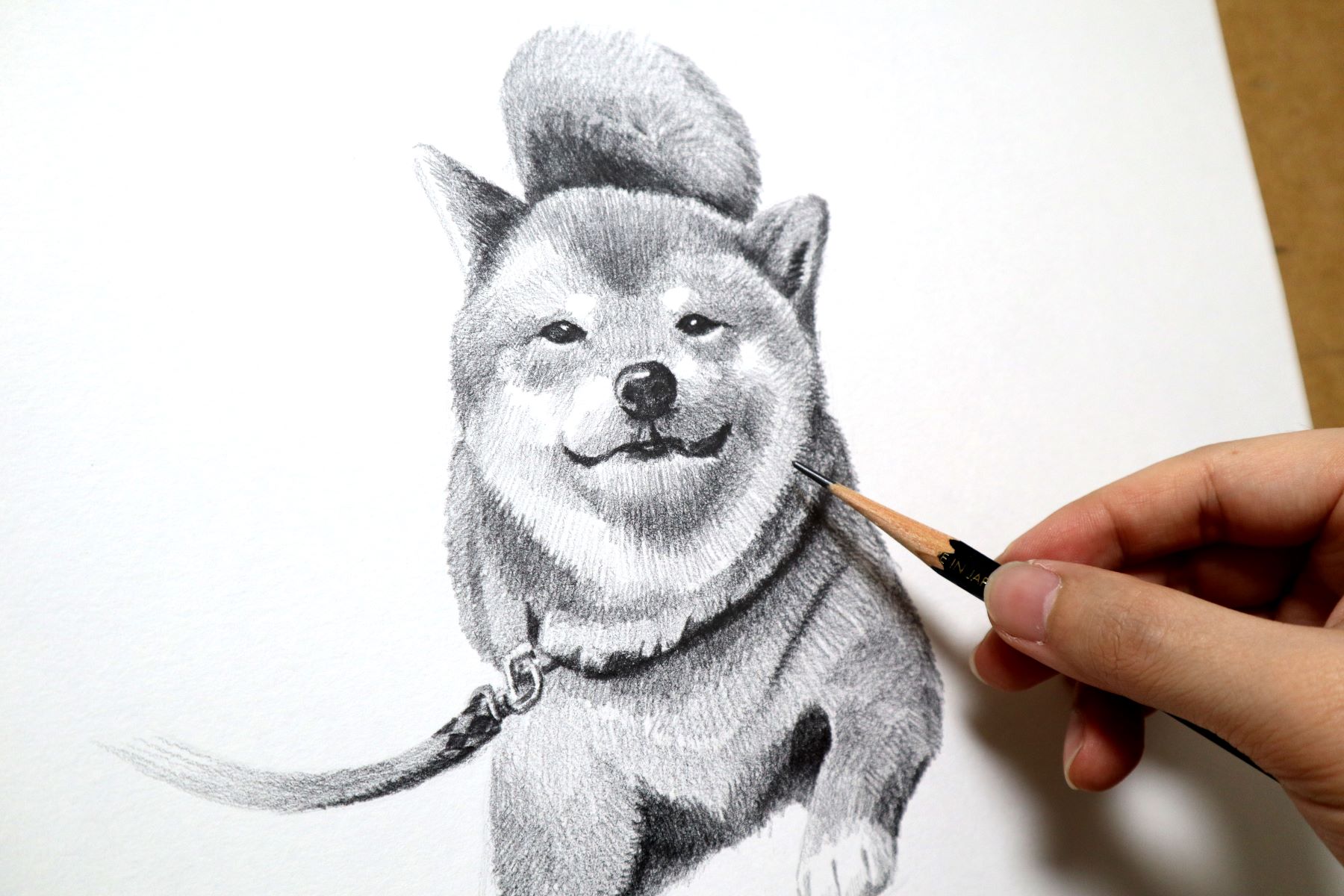 10 Amazing Ideas For Pencil Drawings!