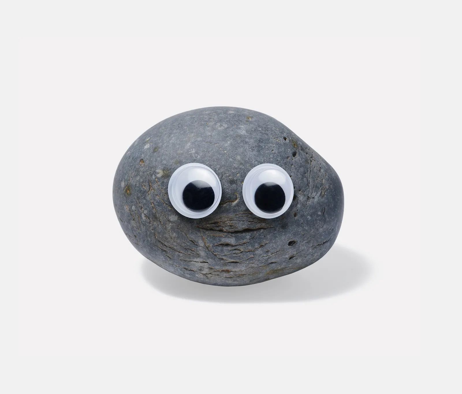 10 Creative Names For Your Pet Rock