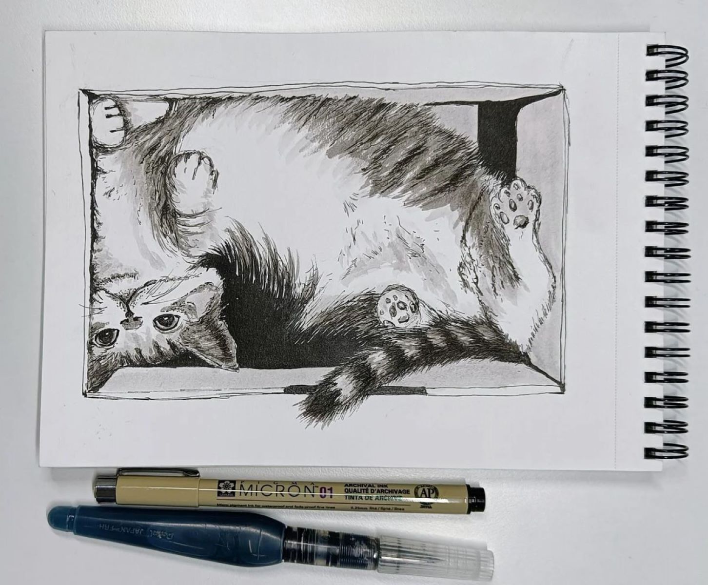 Amazing Cat-in-a-Box Drawing Tutorial – Unleash Your Artistic Skills!