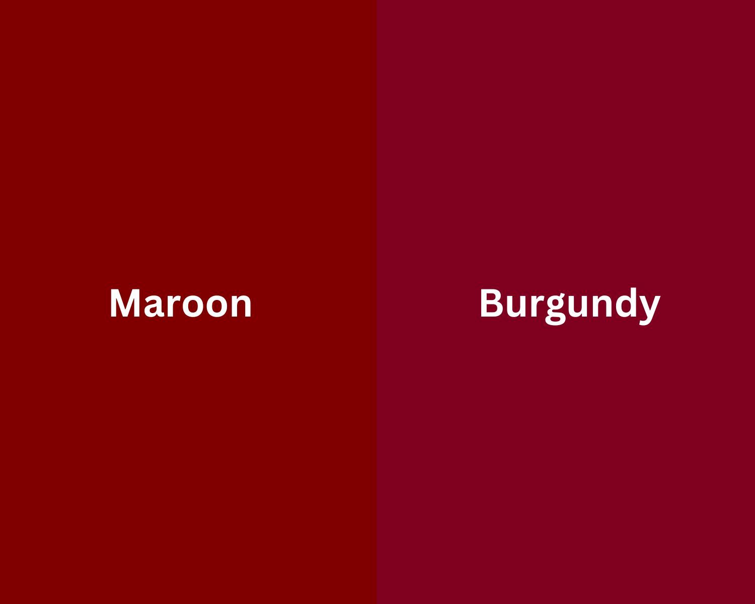 Burgundy Vs. Maroon: Unveiling The Truth Behind These Mysterious Shades!