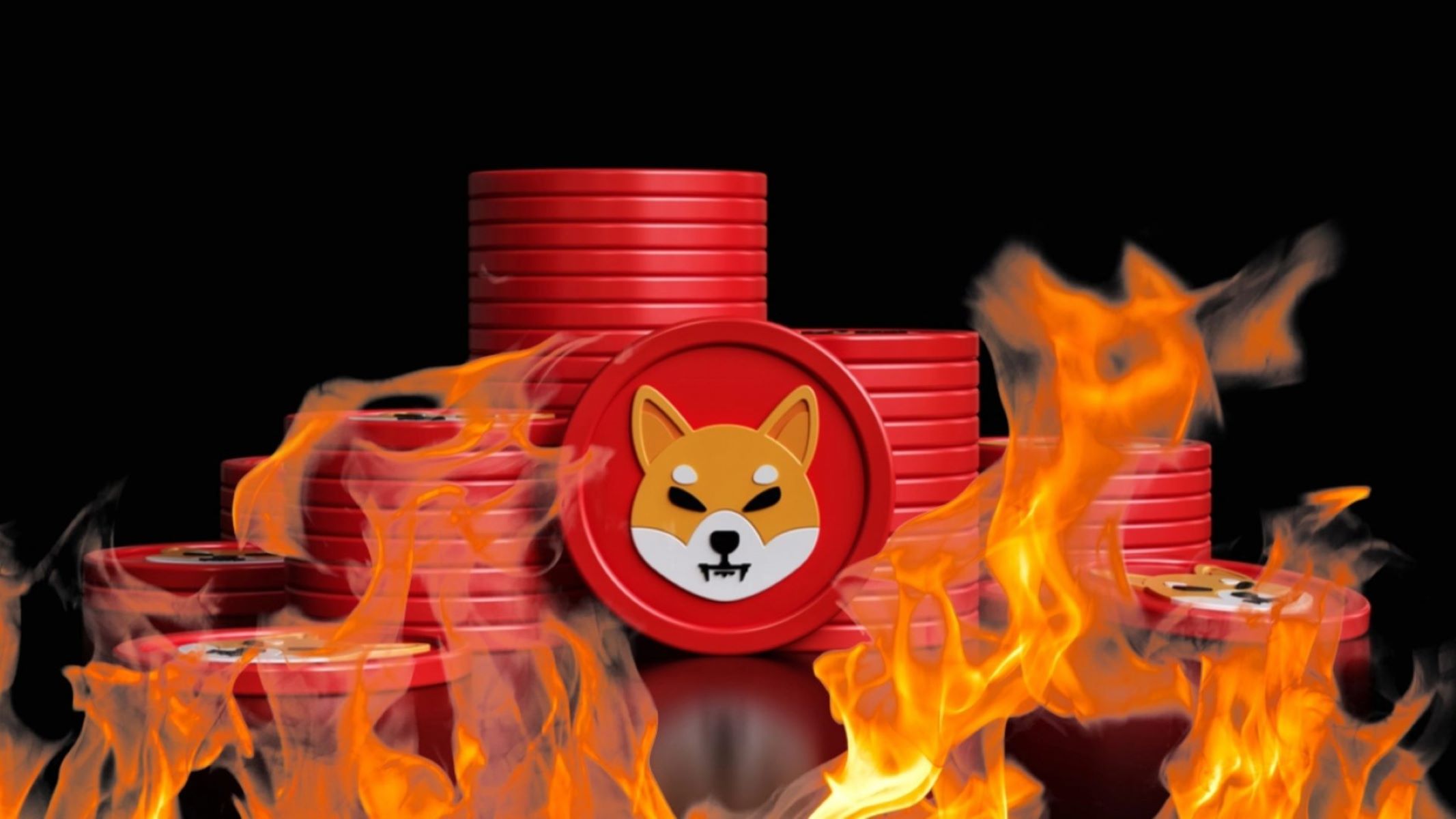 Burning Shib: Unveiling The Surprising Truth And Its Impact!