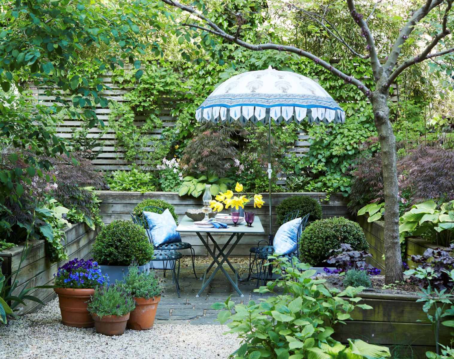 Create Backyard Privacy On A Budget With These Clever Ideas