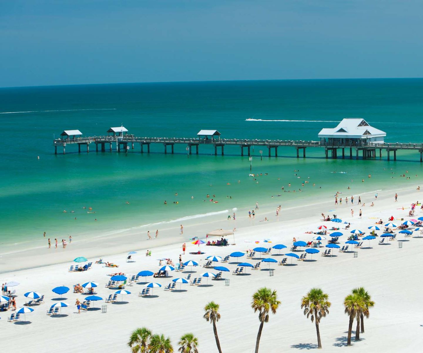 Discover Tampa’s Hidden Gem Beaches Away From The Crowds Of Clearwater And St. Pete!