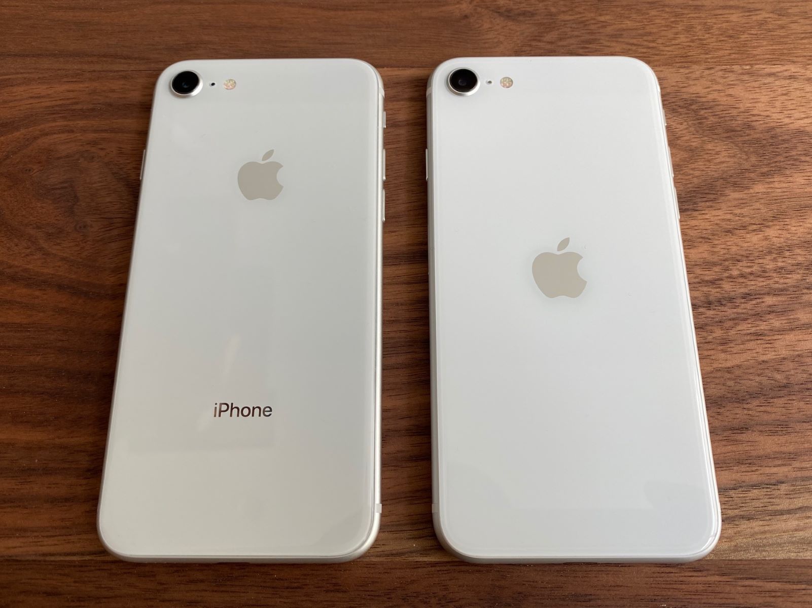 Discover The Key Differences Between IPhone SE And IPhone 8!