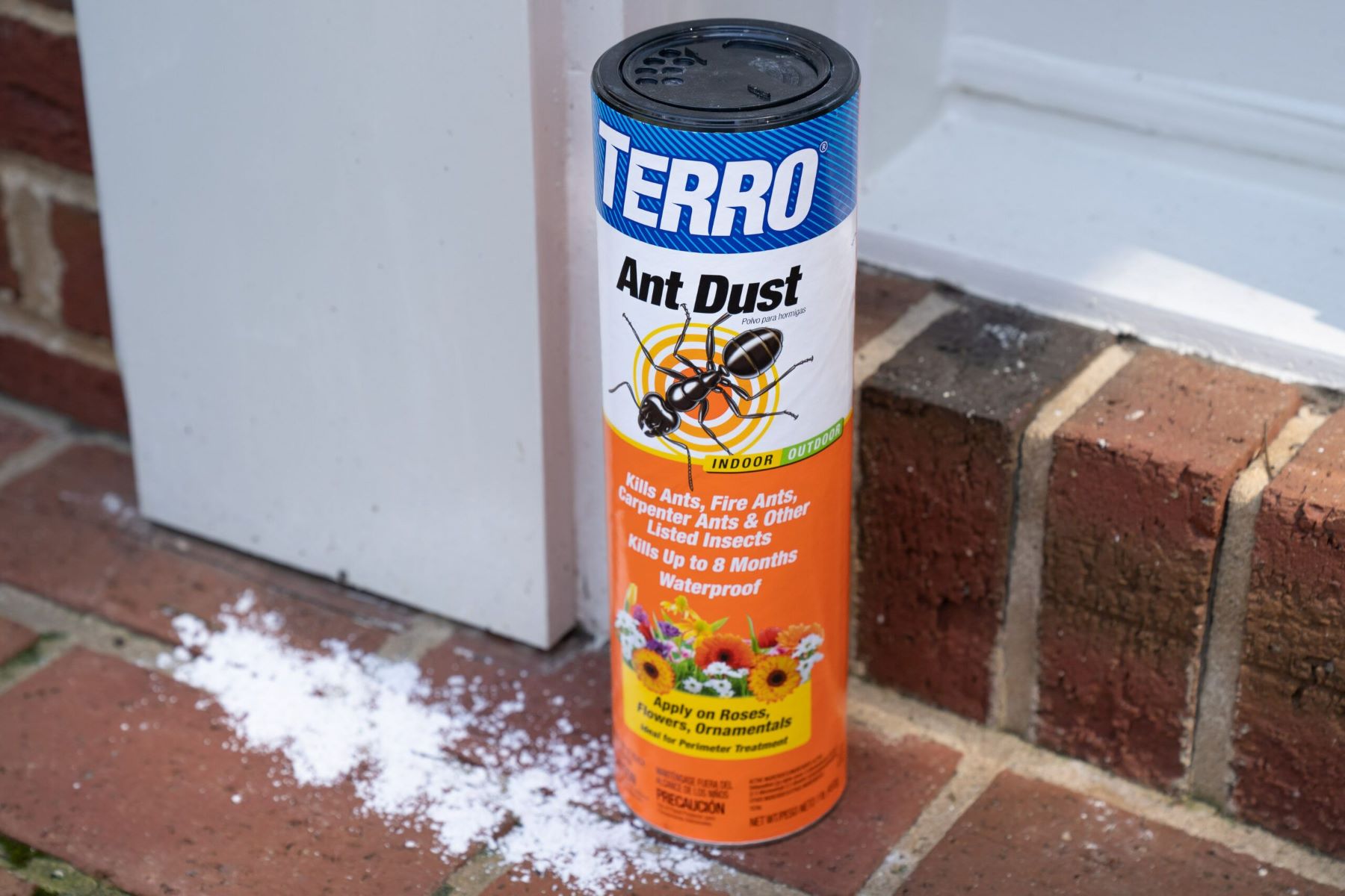 Discover The Surprising Safety Of Indoor Ant Sprays!