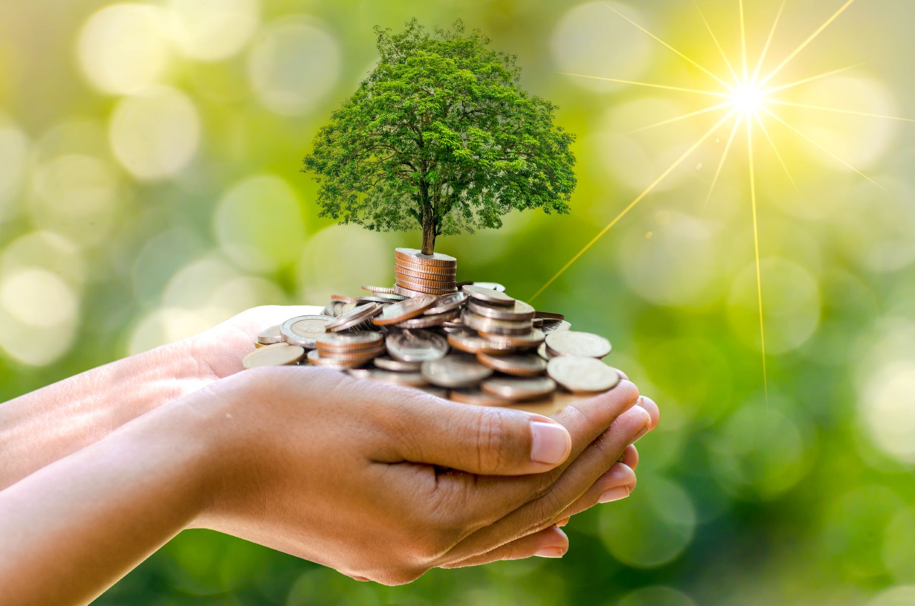 Discover The Surprising Truth: Money Is Literally Grown On Trees!