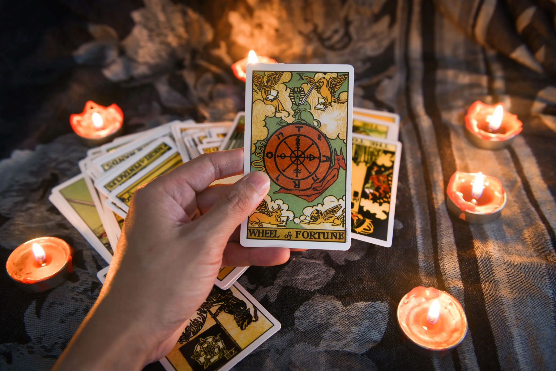 Learn Tarot Reading And Astrology From The Experts!