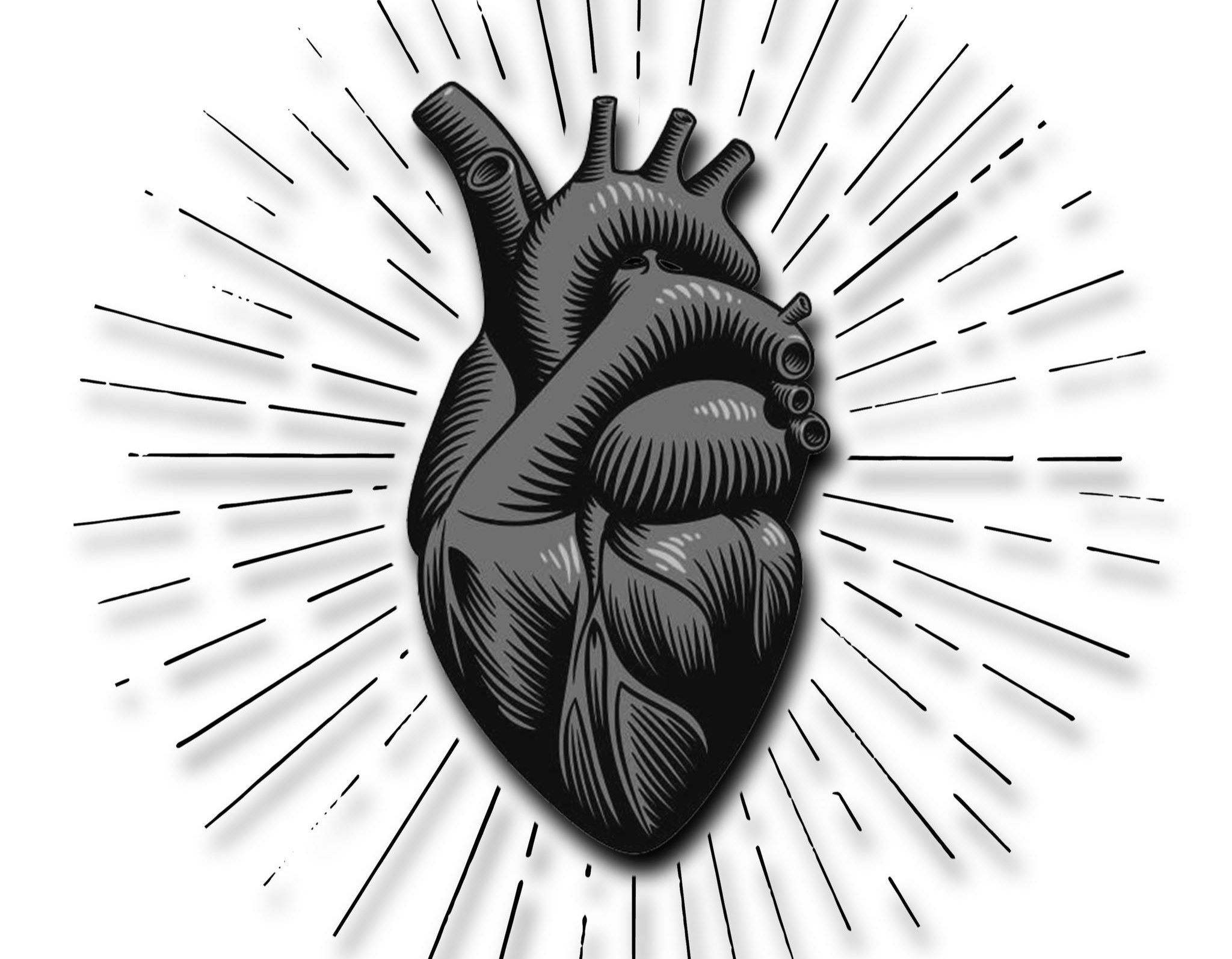 Master The Art Of Drawing An Incredible Human Heart!