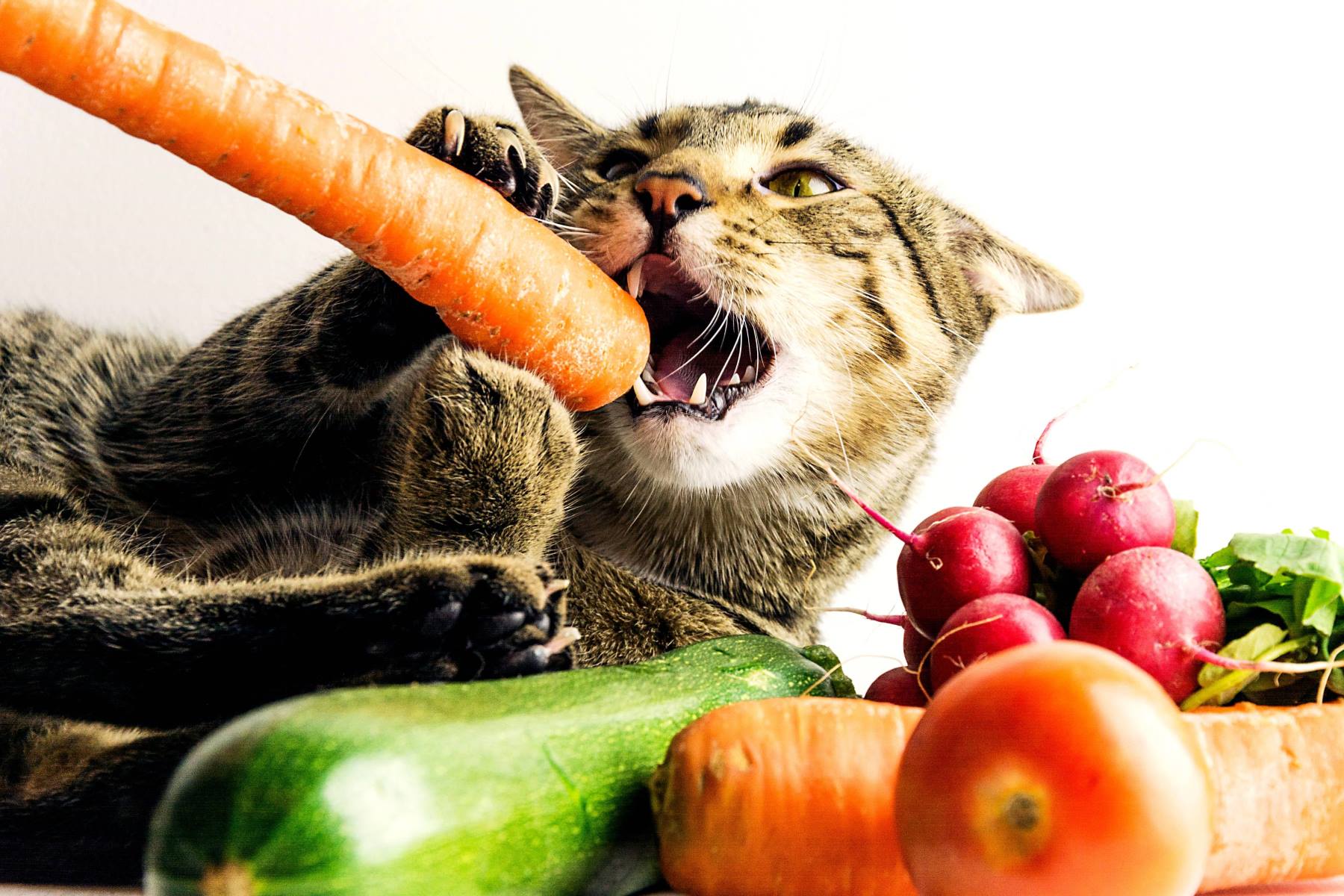 Surprising Foods Cats Can Eat: Peas And Carrots Revealed!