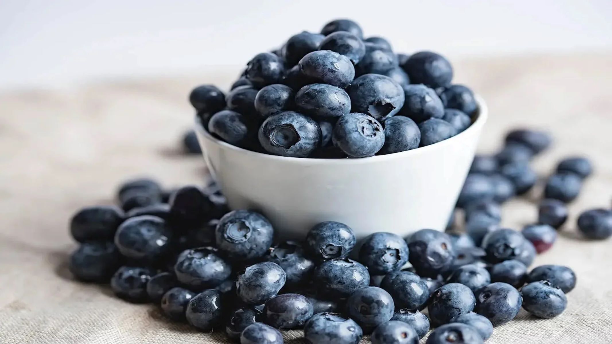 Surprising Nighttime Snack: Cats Go Crazy For Blueberries!