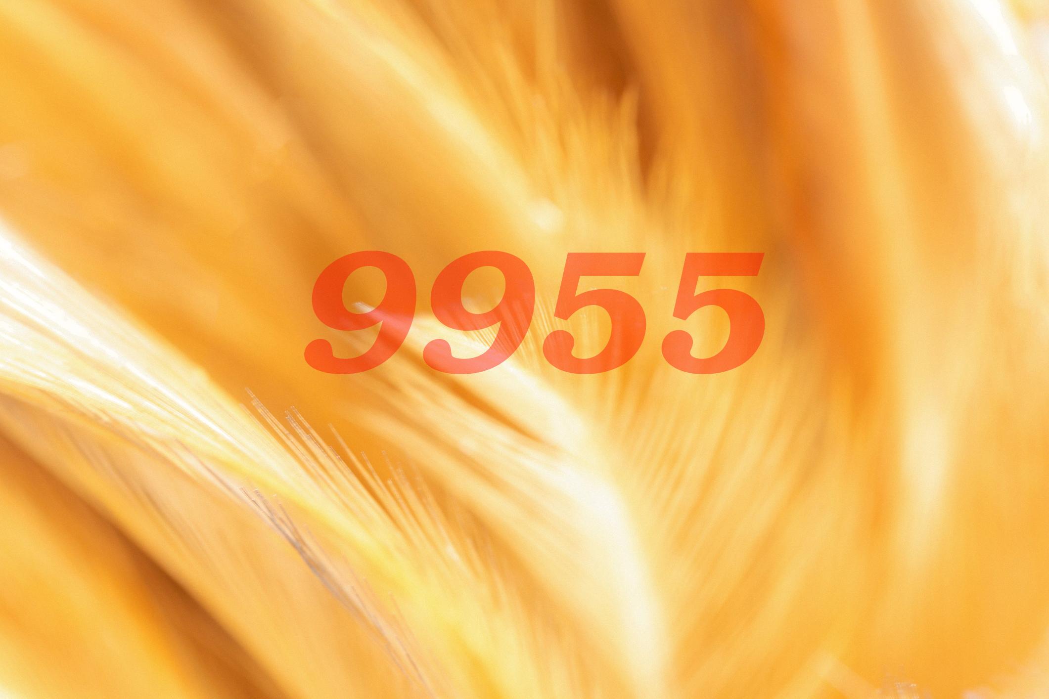 The Hidden Meaning Of Angel Number 9955 Revealed!