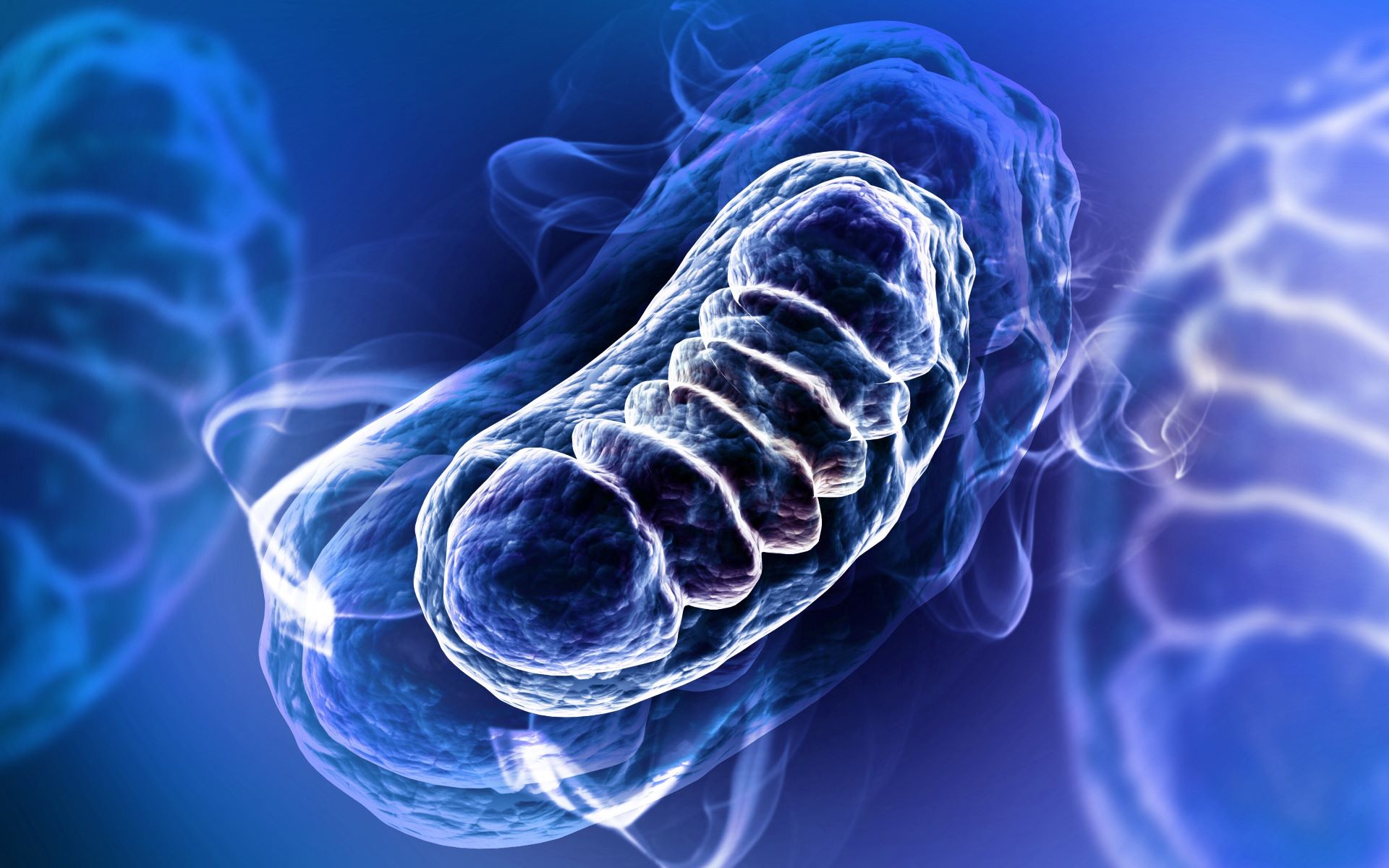 The Incredible Role Of Mitochondrial DNA In Forensics