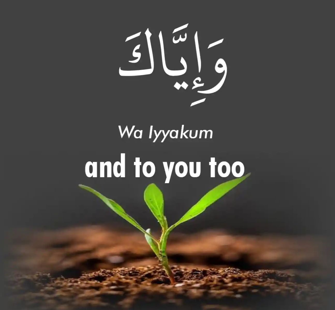 The Meaning And Usage Of 'Wa Iyyakum'