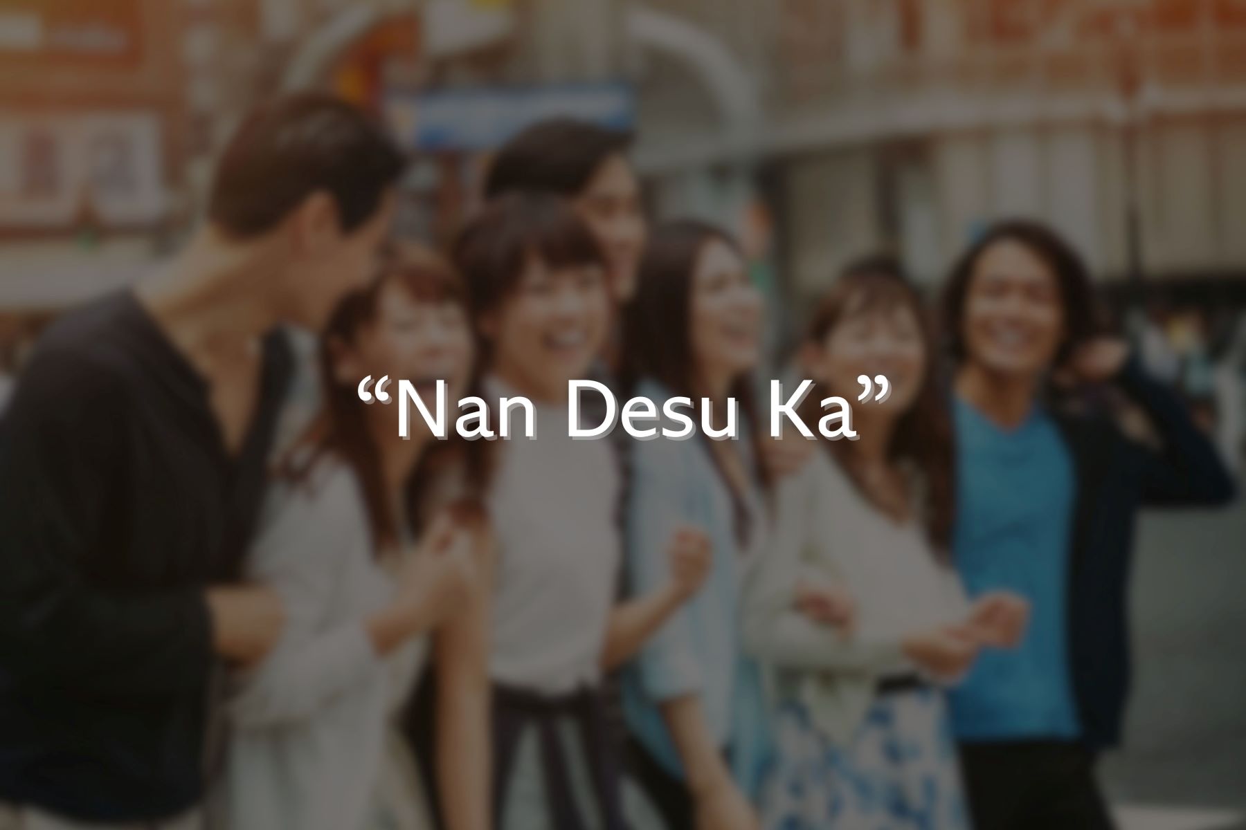 The Meaning Of 'Nan Desu Ka' Revealed!
