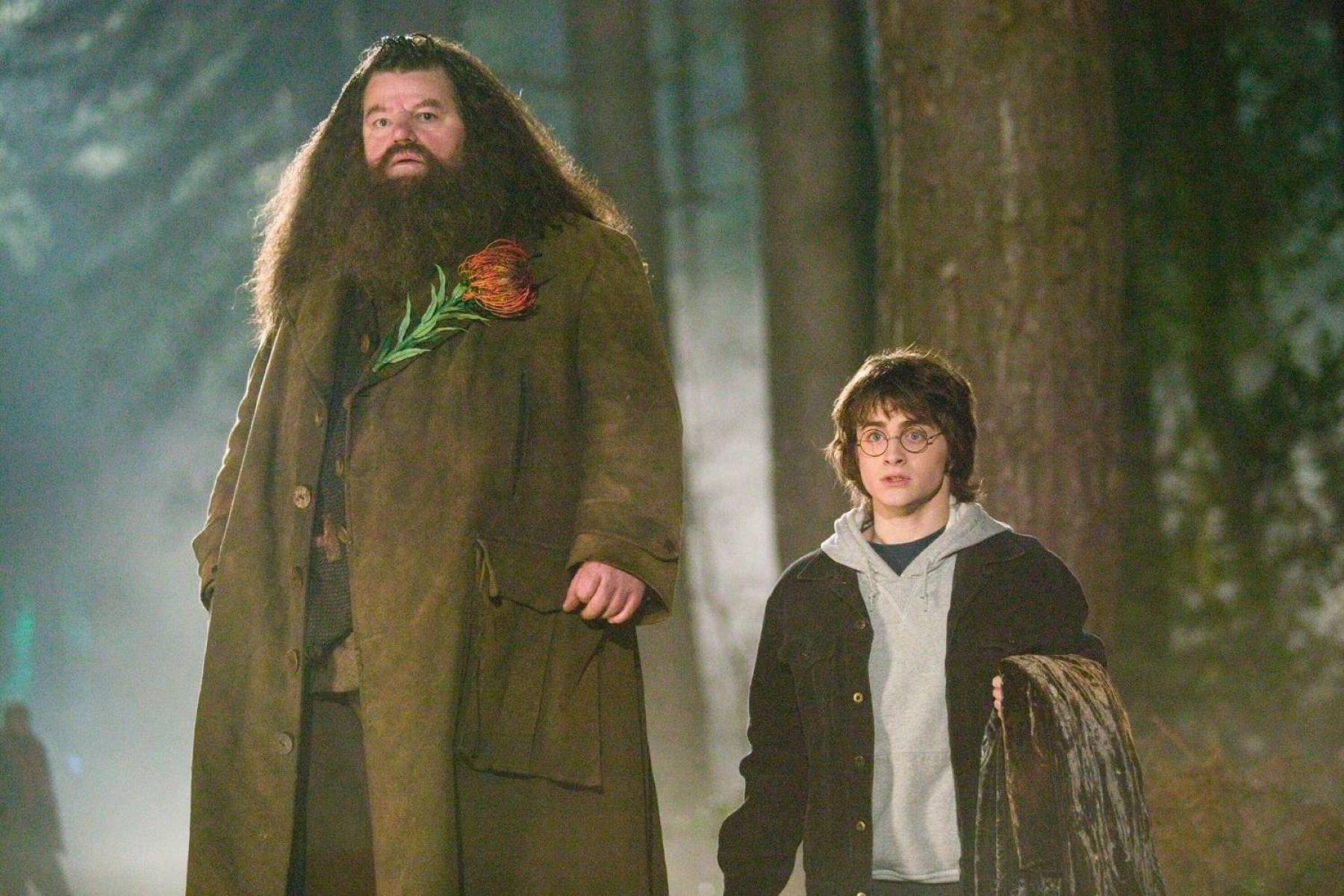 The Mind-Blowing Movie Magic Behind Hagrid's Gigantic Size In Harry Potter Revealed!