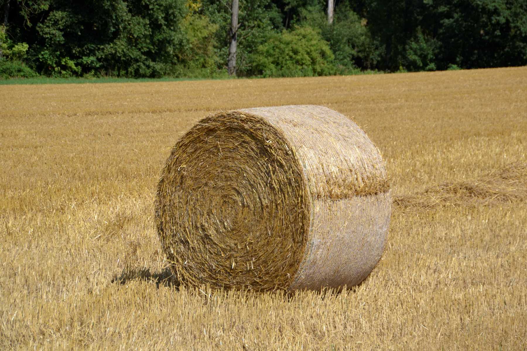 The Surprising Acreage Required For A Single Round Bale Of Hay!