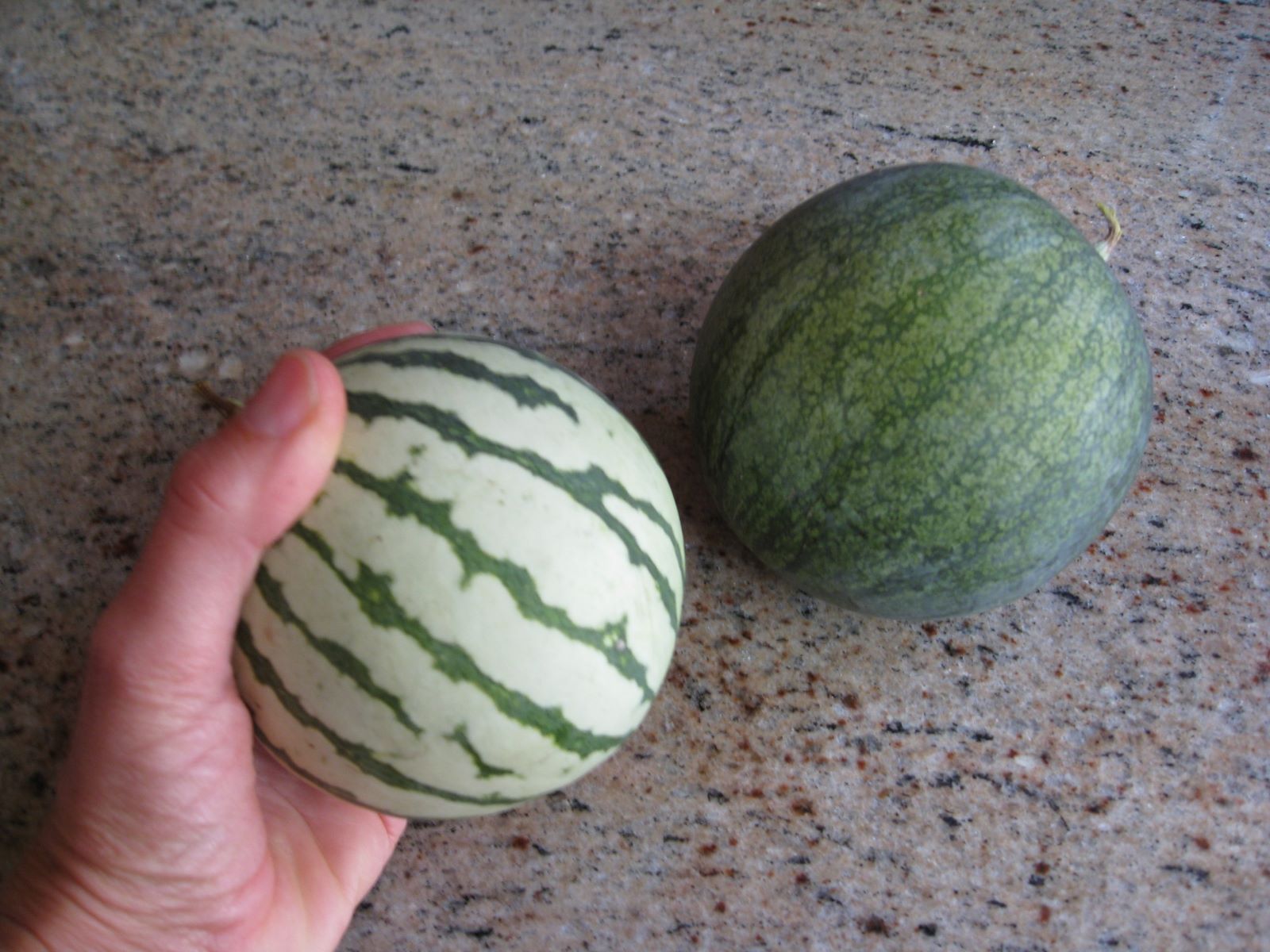 The Surprising Calorie Count Of A Small Watermelon Revealed!