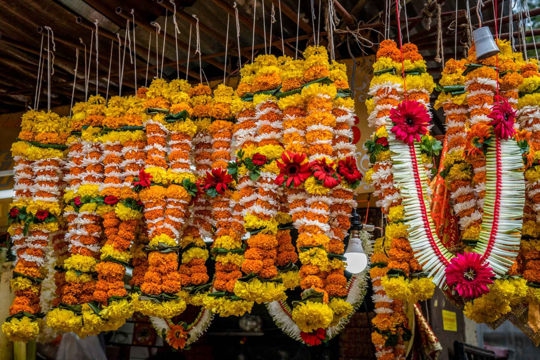 The Surprising Cultural Significance Of Marigold Flowers In India