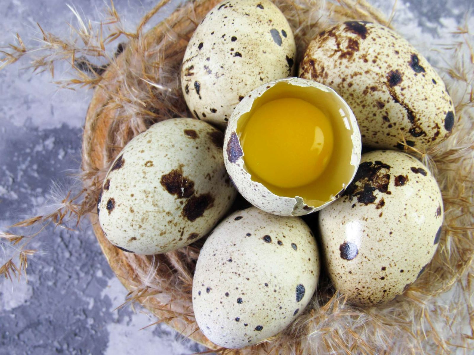 The Surprising Egg-Laying Habits Of Quail: A Must-Have Pet For Fresh Eggs!
