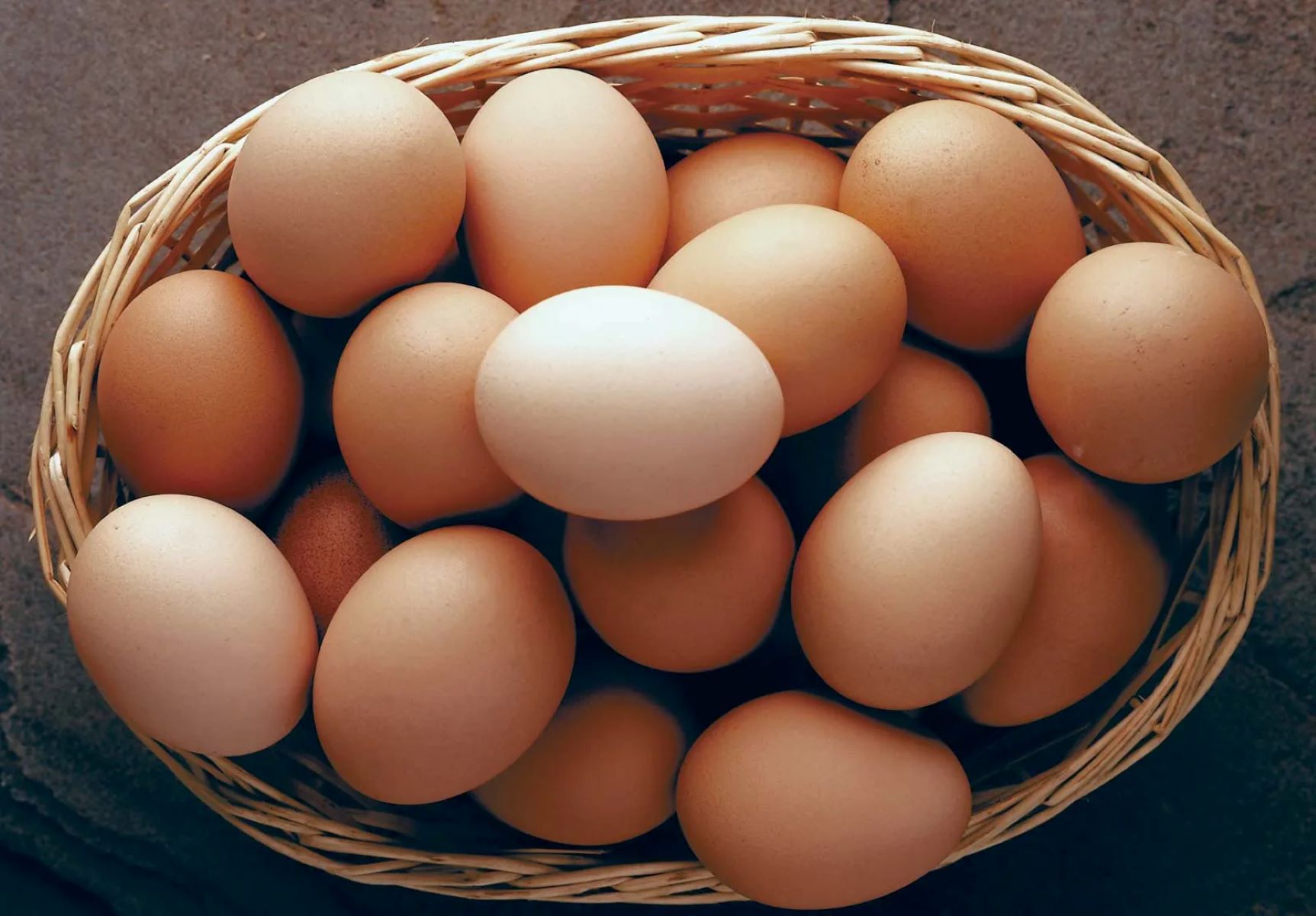 The Surprising Origin Of The Phrase “Suck Eggs”