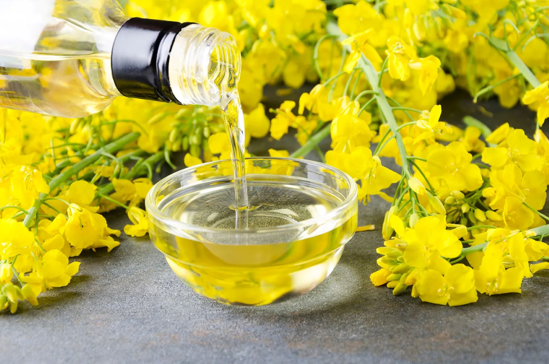 The Surprising Reason Canola Oil Beats Sunflower Oil - Oleic Acid Holds The Key!