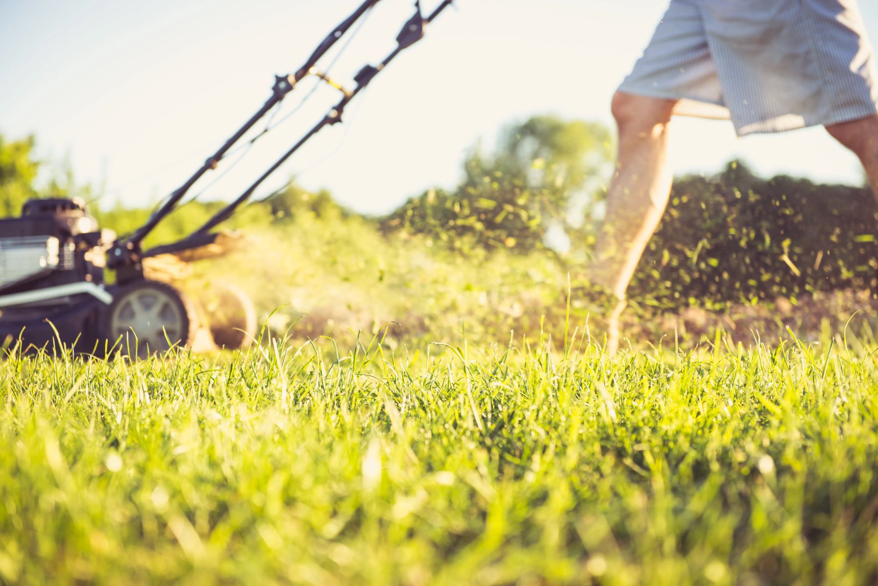 The Surprising Secret To Perfectly Mowing Your Lawn In Hot Weather Revealed!