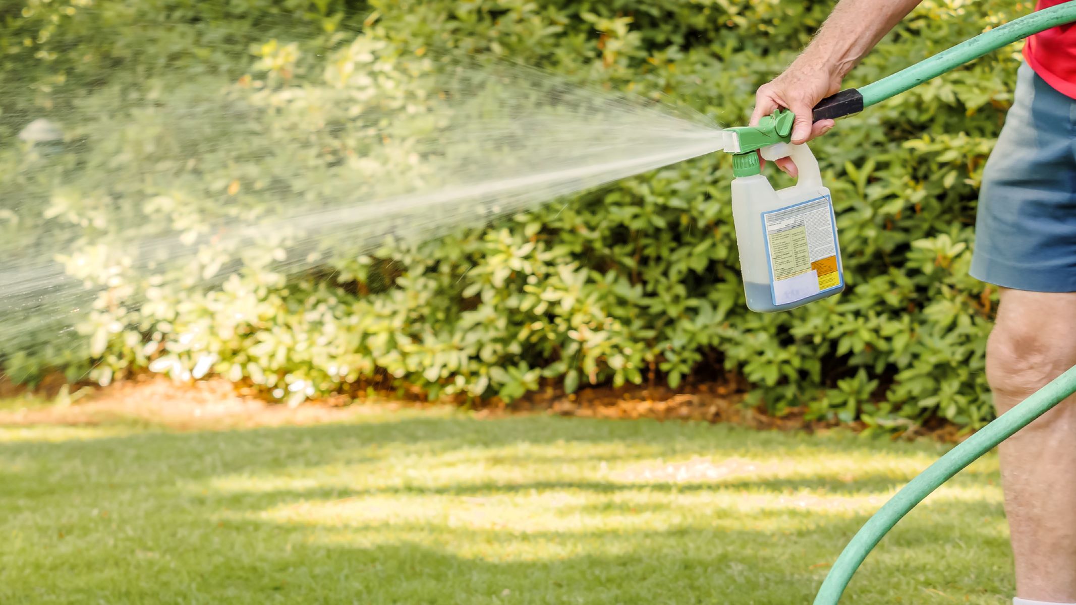 The Surprising Step You're Missing Before Spraying Weed Killer!