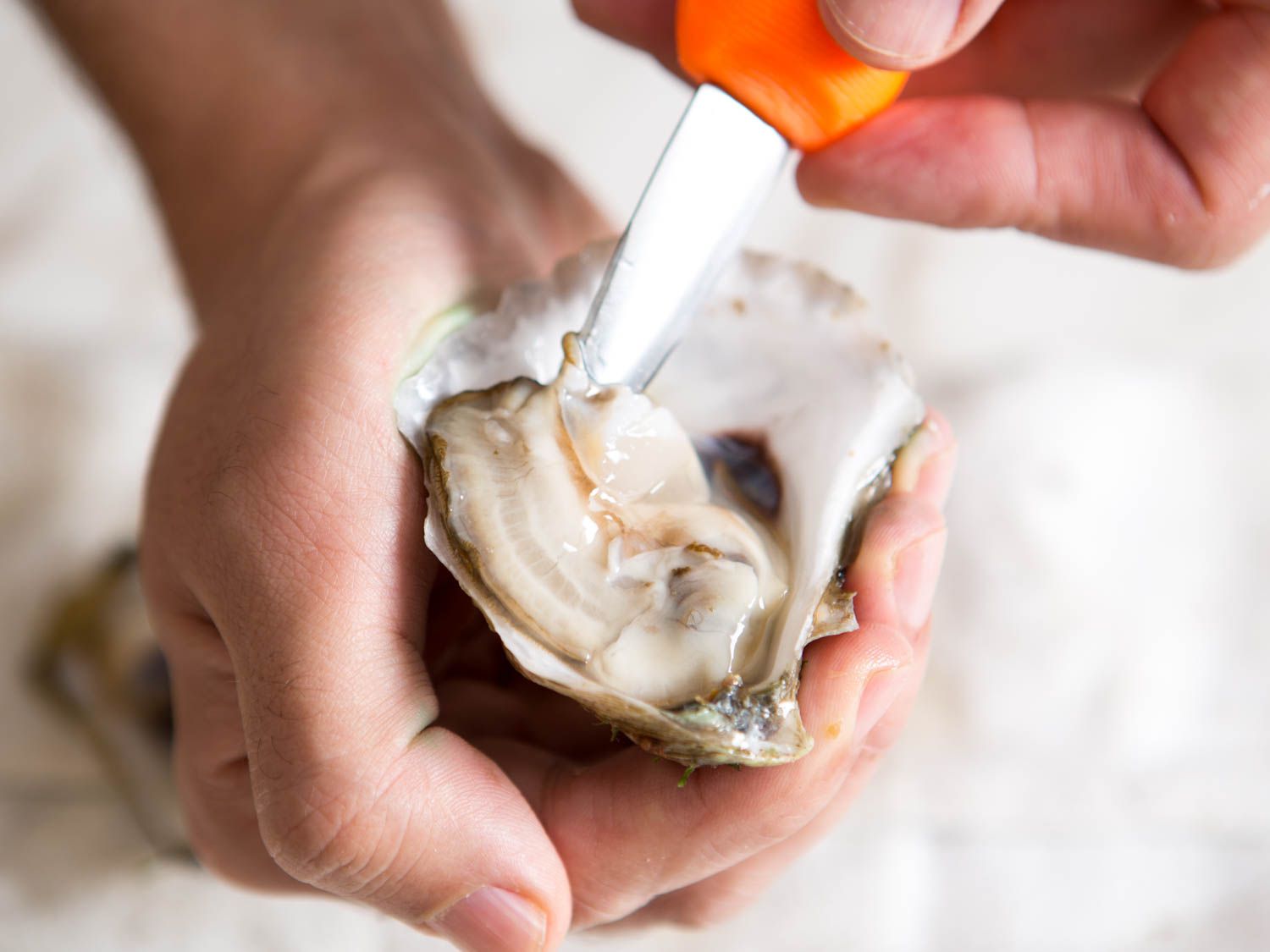 The Surprising Truth About Canned Oysters Vs Fresh