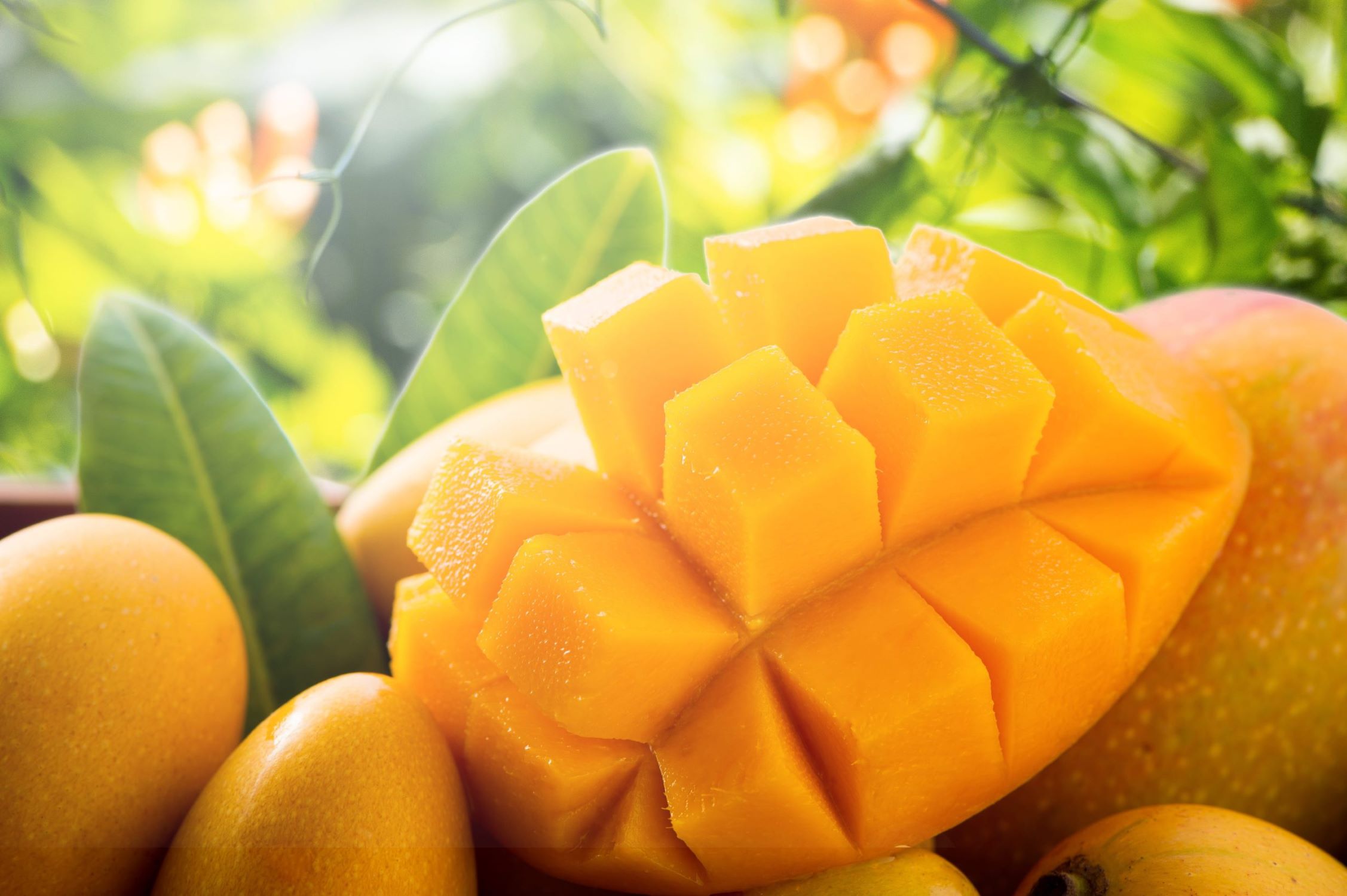 The Surprising Truth About Mangoes' Unique Flavors