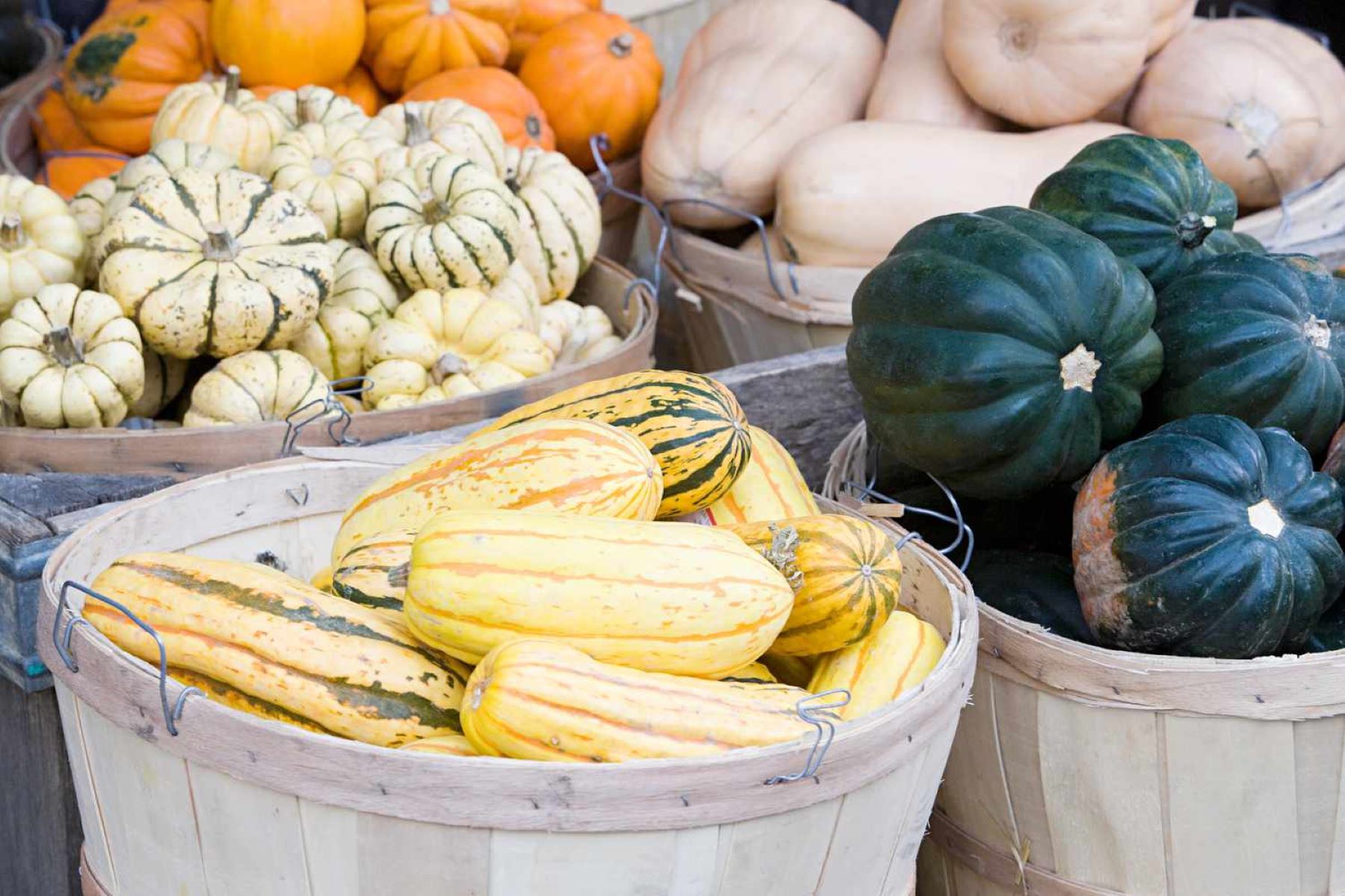 The Surprising Truth About Pumpkin And Squash: Are They Fruits Or Vegetables?