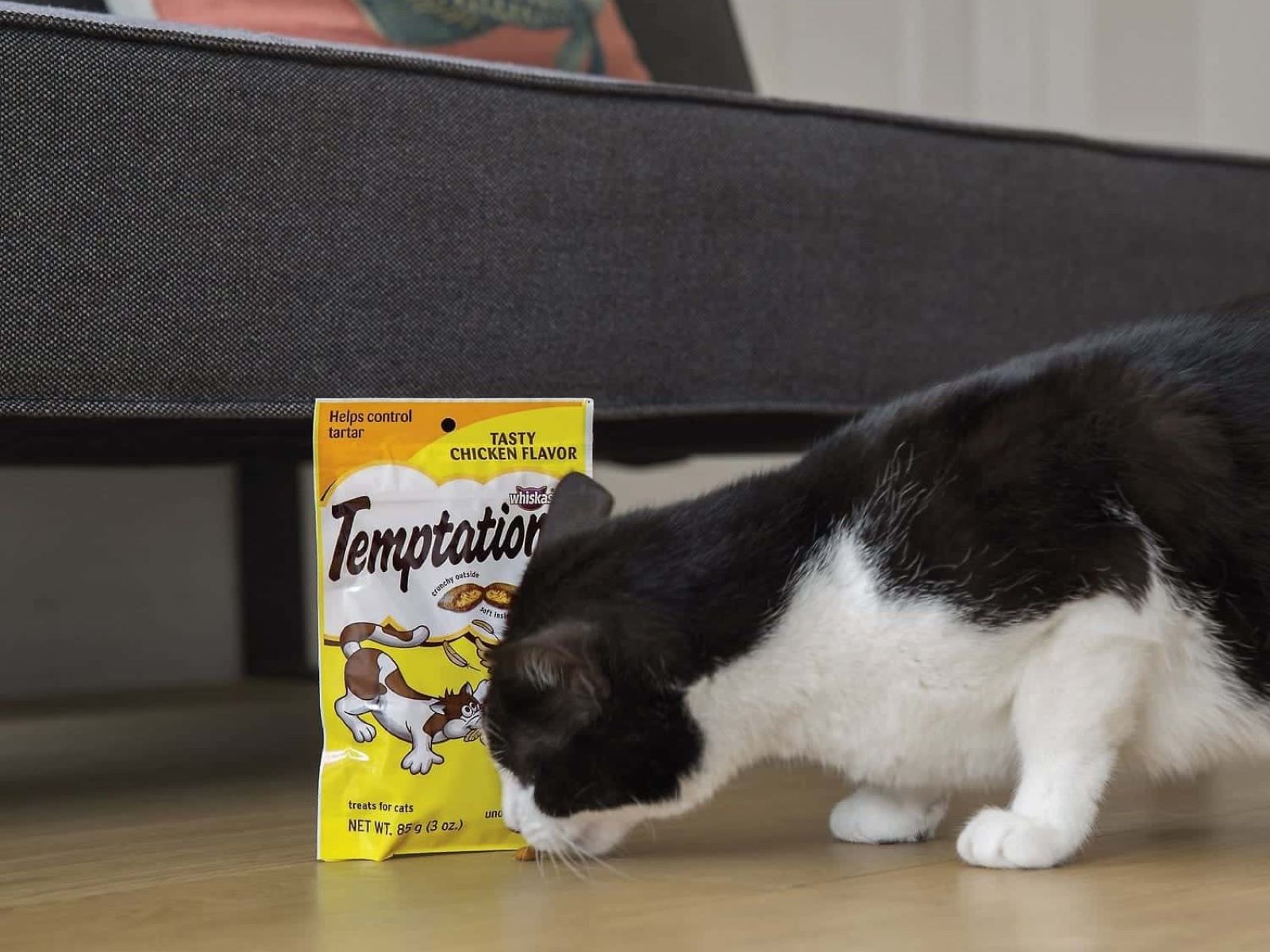 The Surprising Truth About Temptations Cat Food