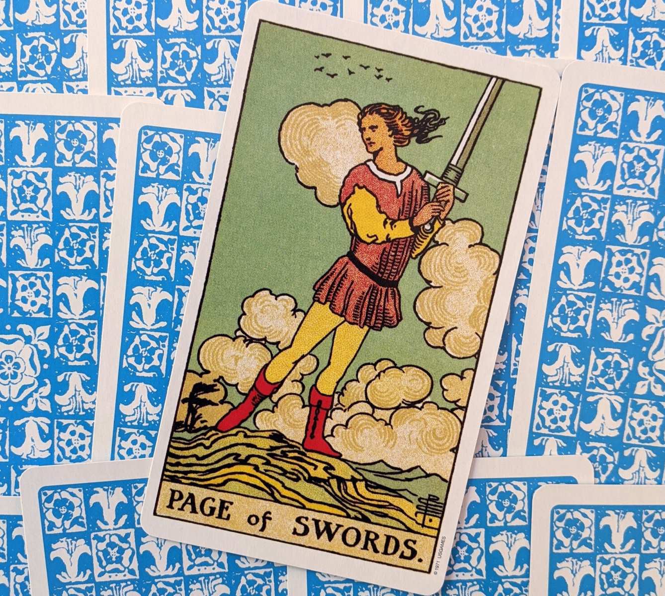 The Surprising Truth About The Page Of Swords Card!