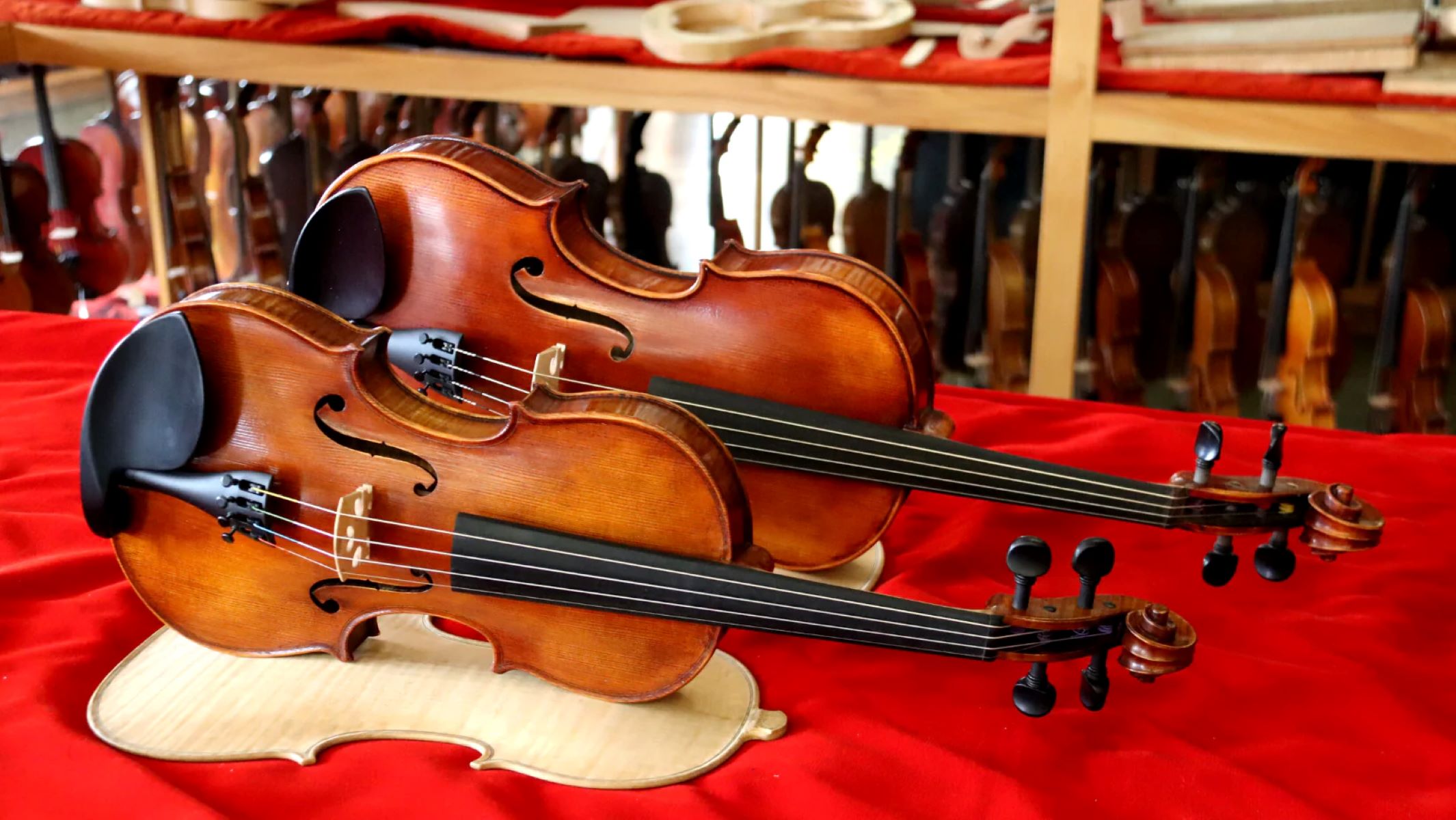 The Surprising Truth: Most People Can't Distinguish Between A Violin And A Viola!