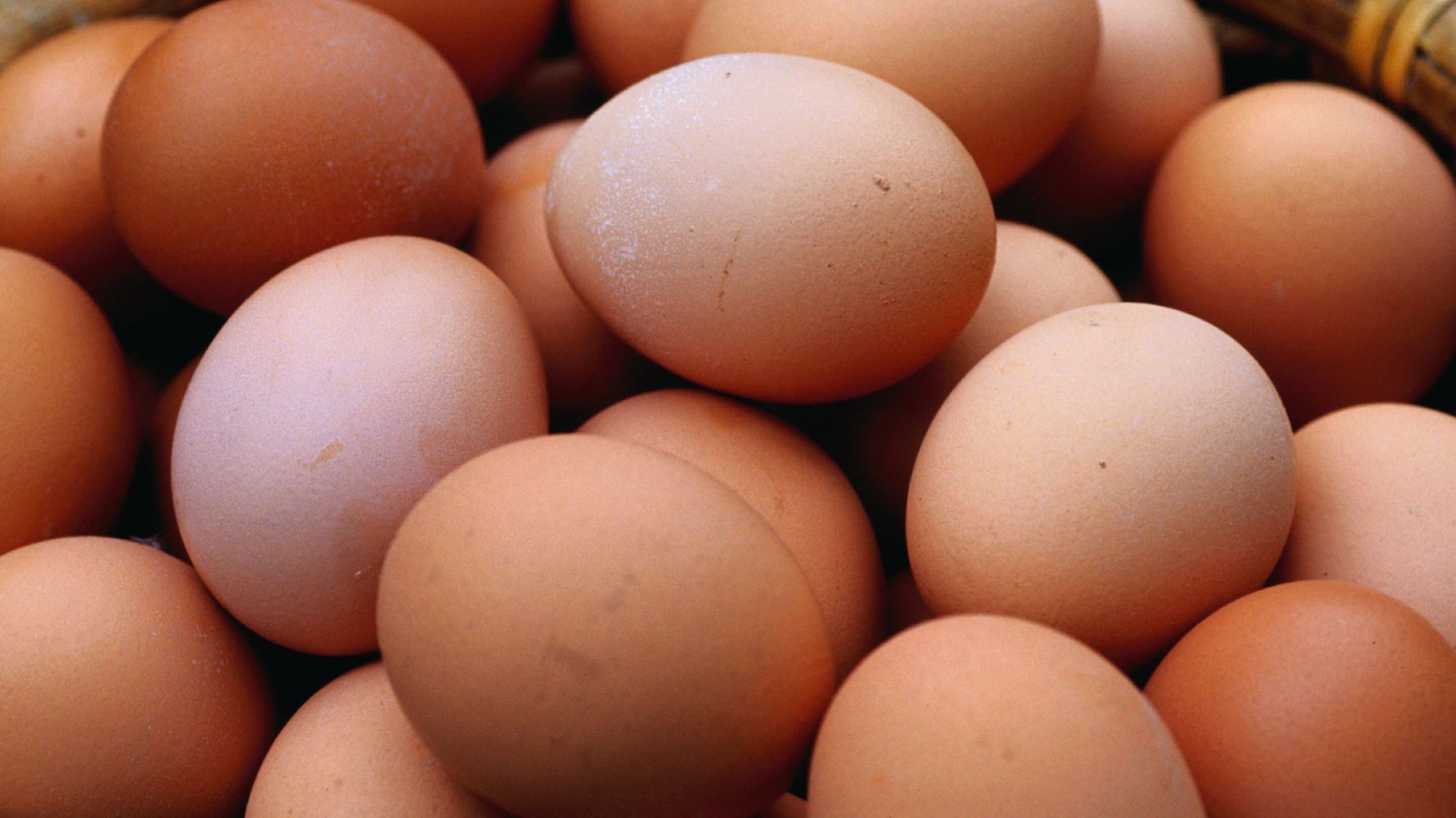 The Ultimate Guide To Cage-Free, Free-Range, And Pasture-Raised Eggs: Unveiling The Hidden Truths!