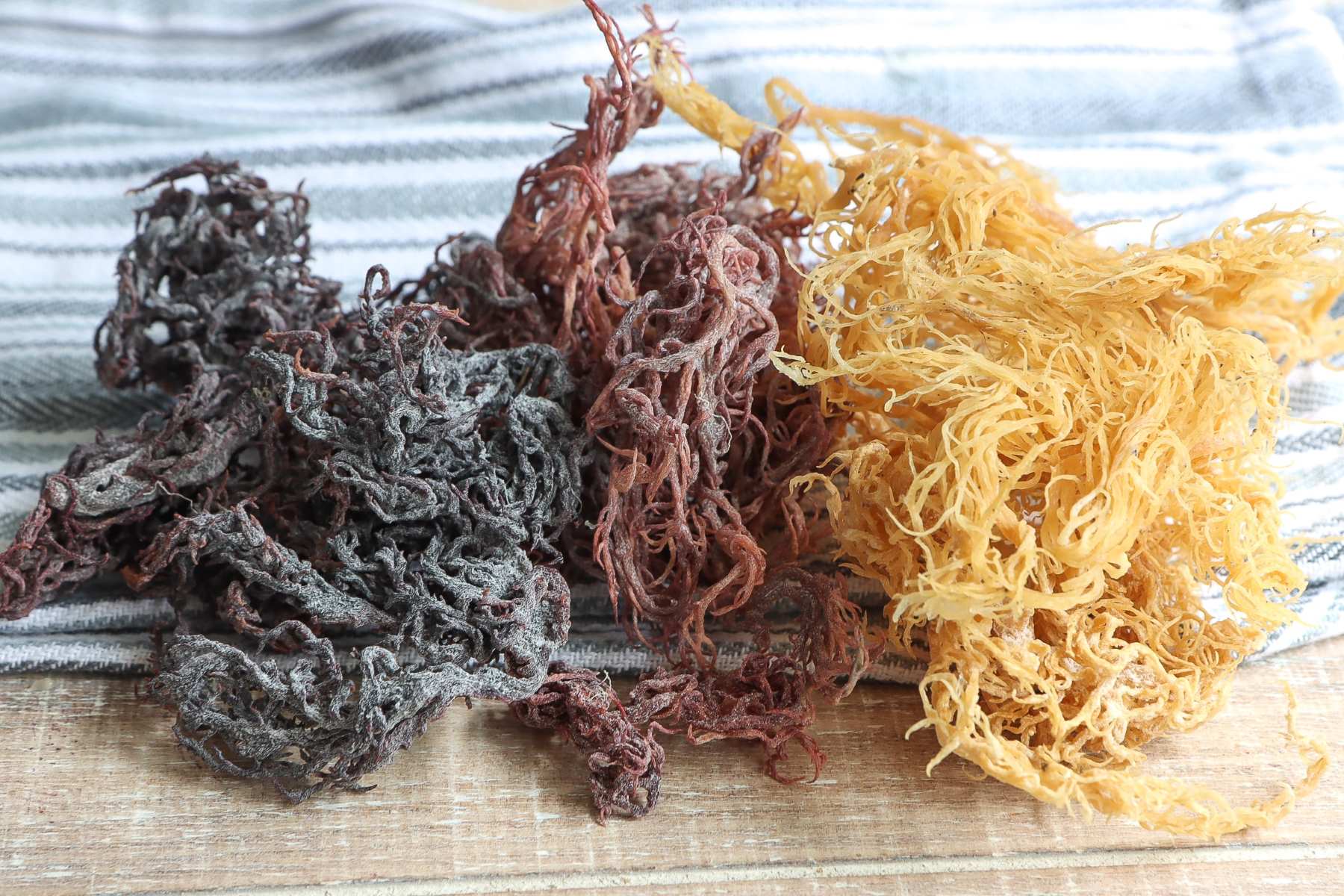 The Ultimate Guide To Drying Sea Moss