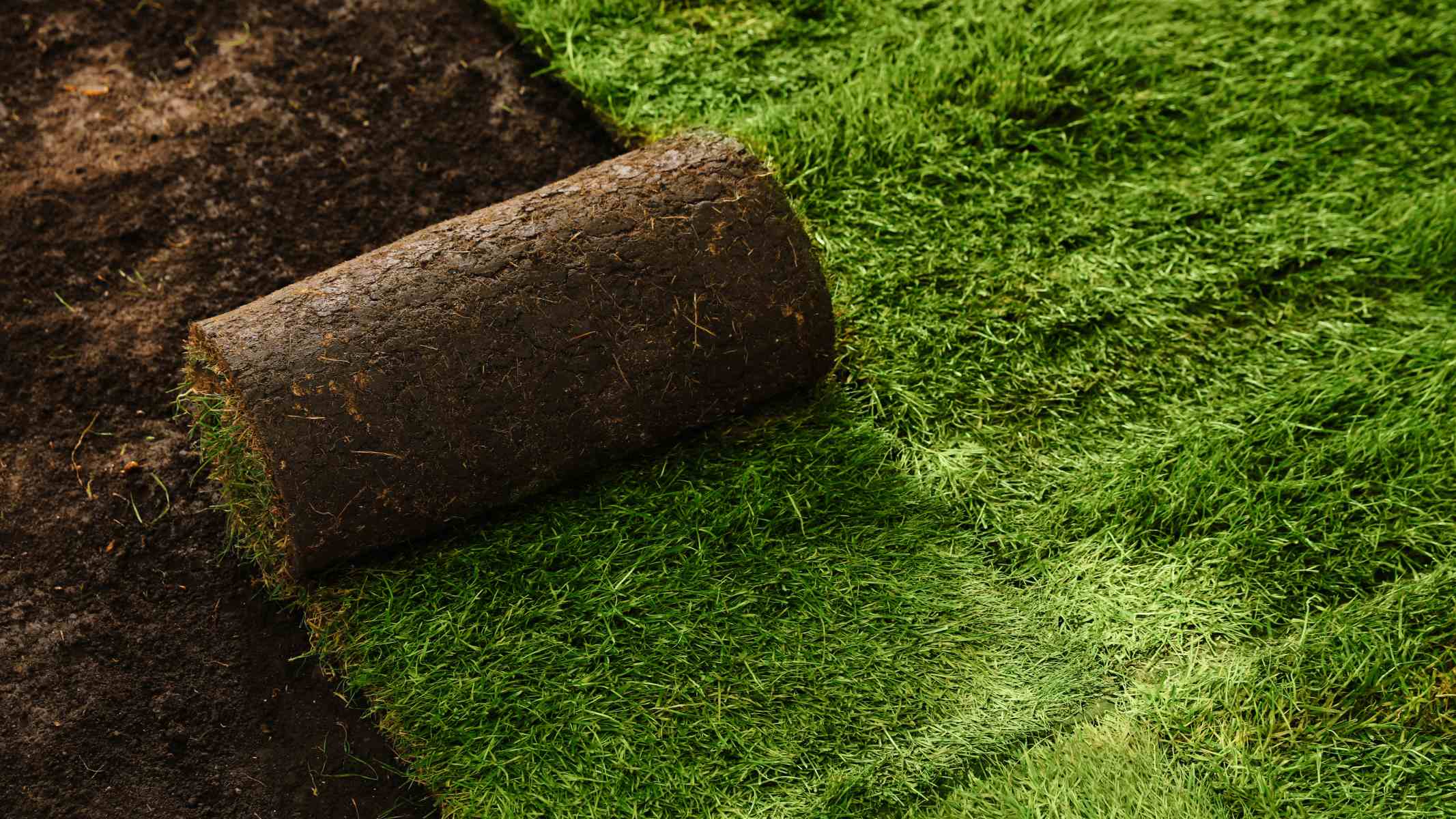 The Ultimate Guide To Laying Sod Over Existing Grass And When To Re-Sod Your Lawn
