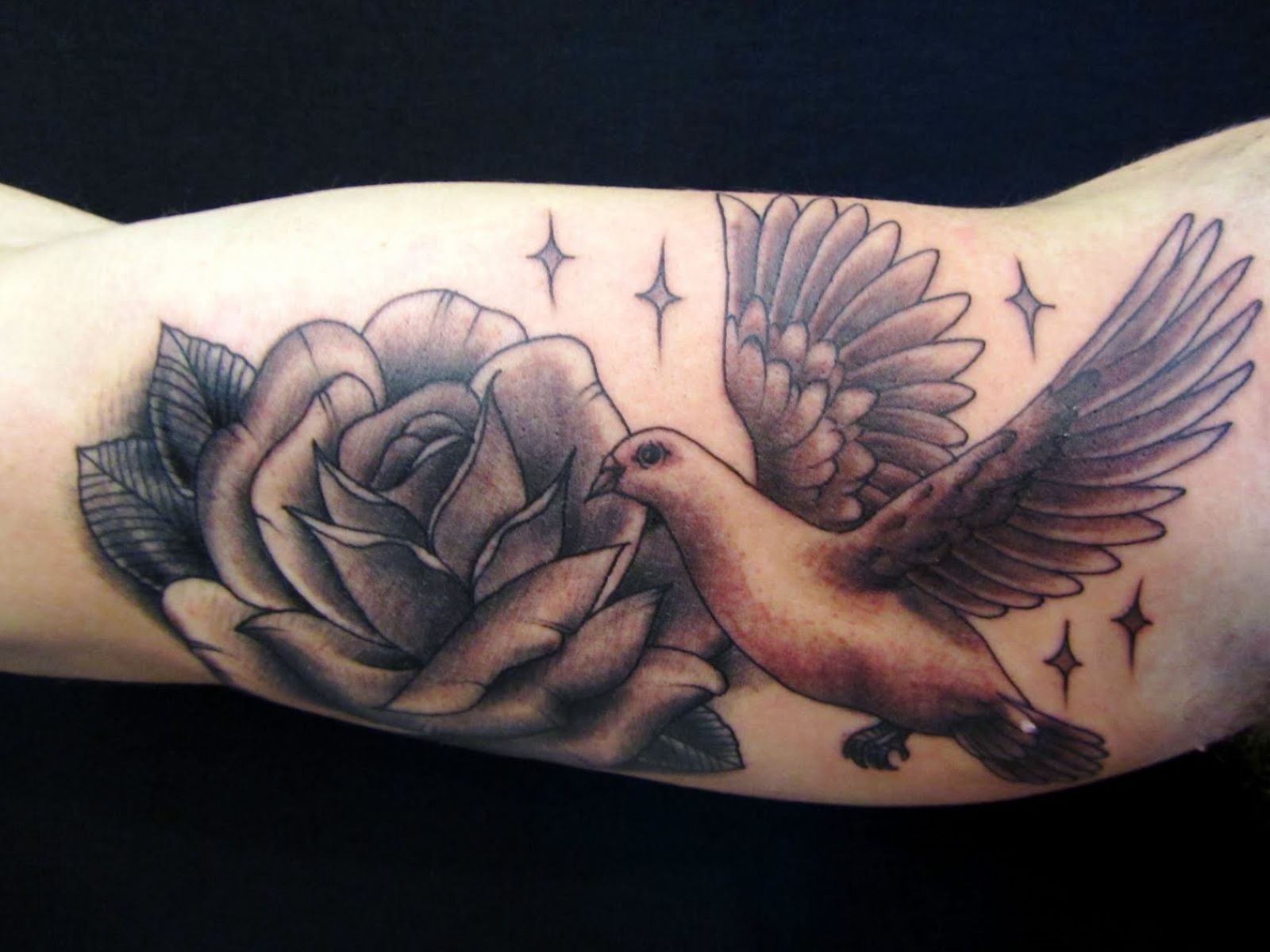 The Ultimate Symbol Of Love: The Dove Tattoo