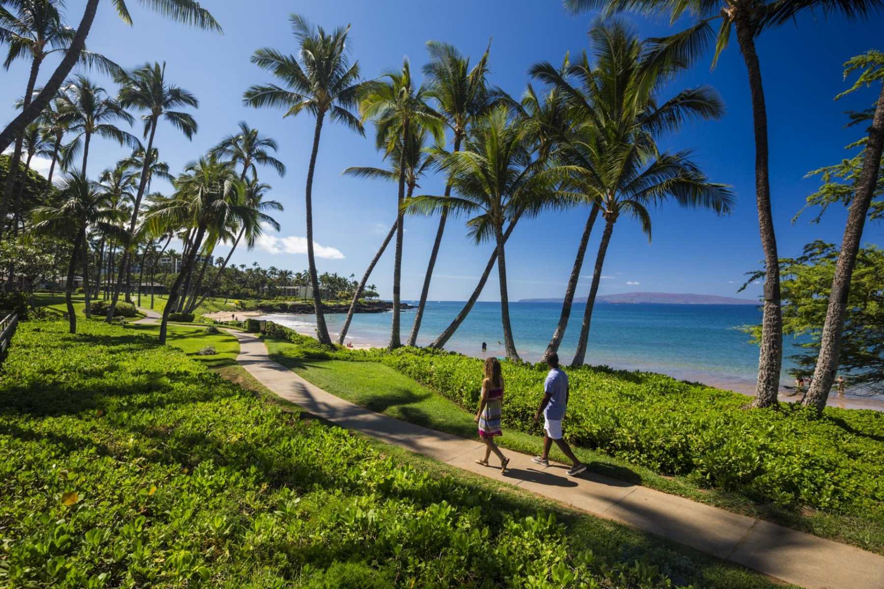 Uncover The Ultimate Money-Saving Hack For Traveling From Honolulu To Kahului In Hawaii!