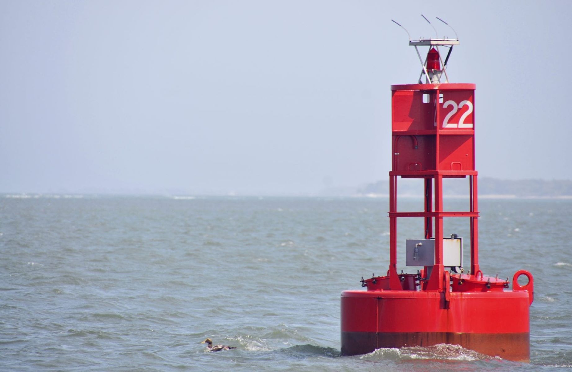 Unveiling The Surprising Response To Spotting A Red Buoy When Returning To Port!
