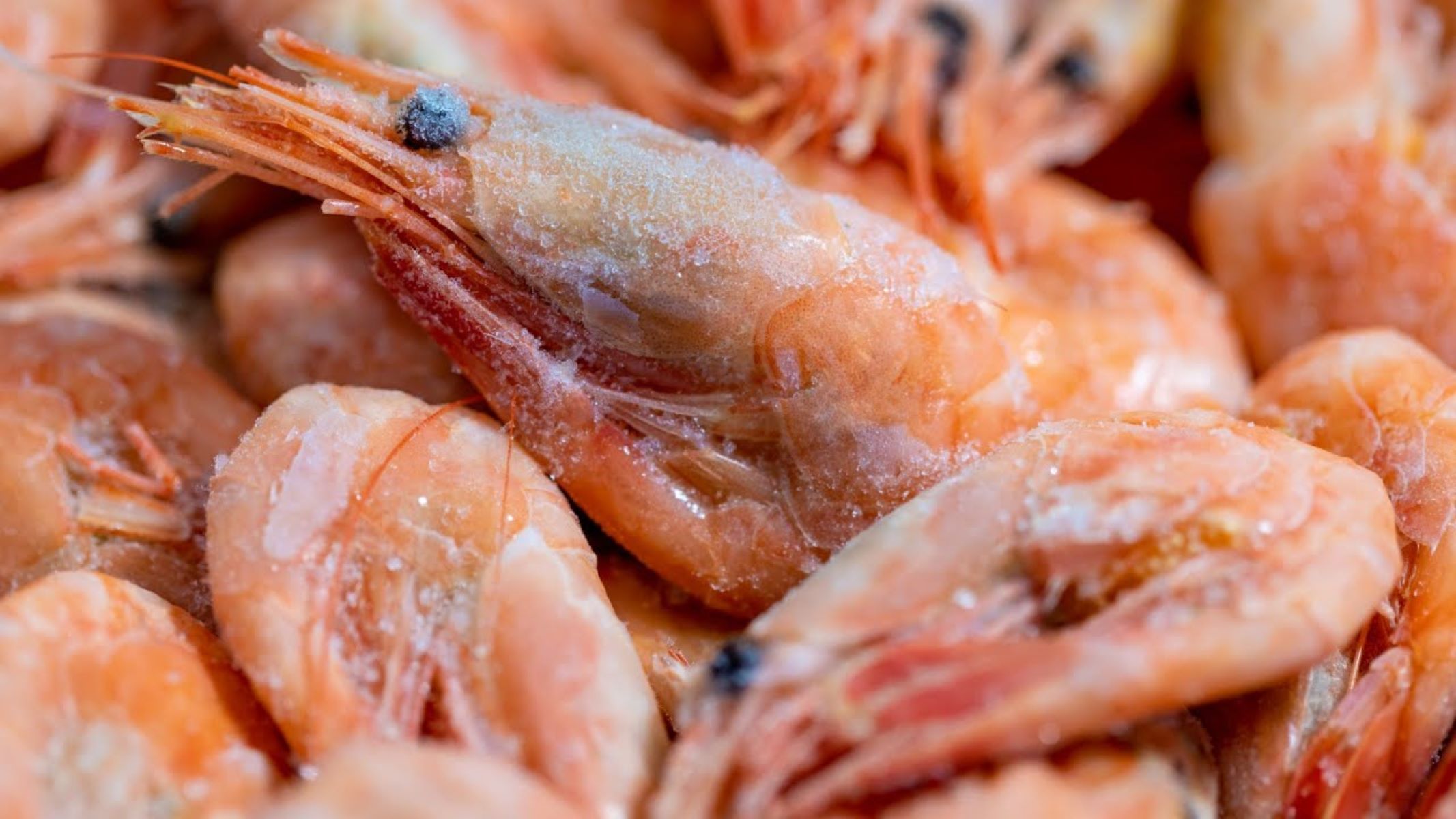 You Won't Believe What Happens When You Eat Freezer Burned Shrimp!