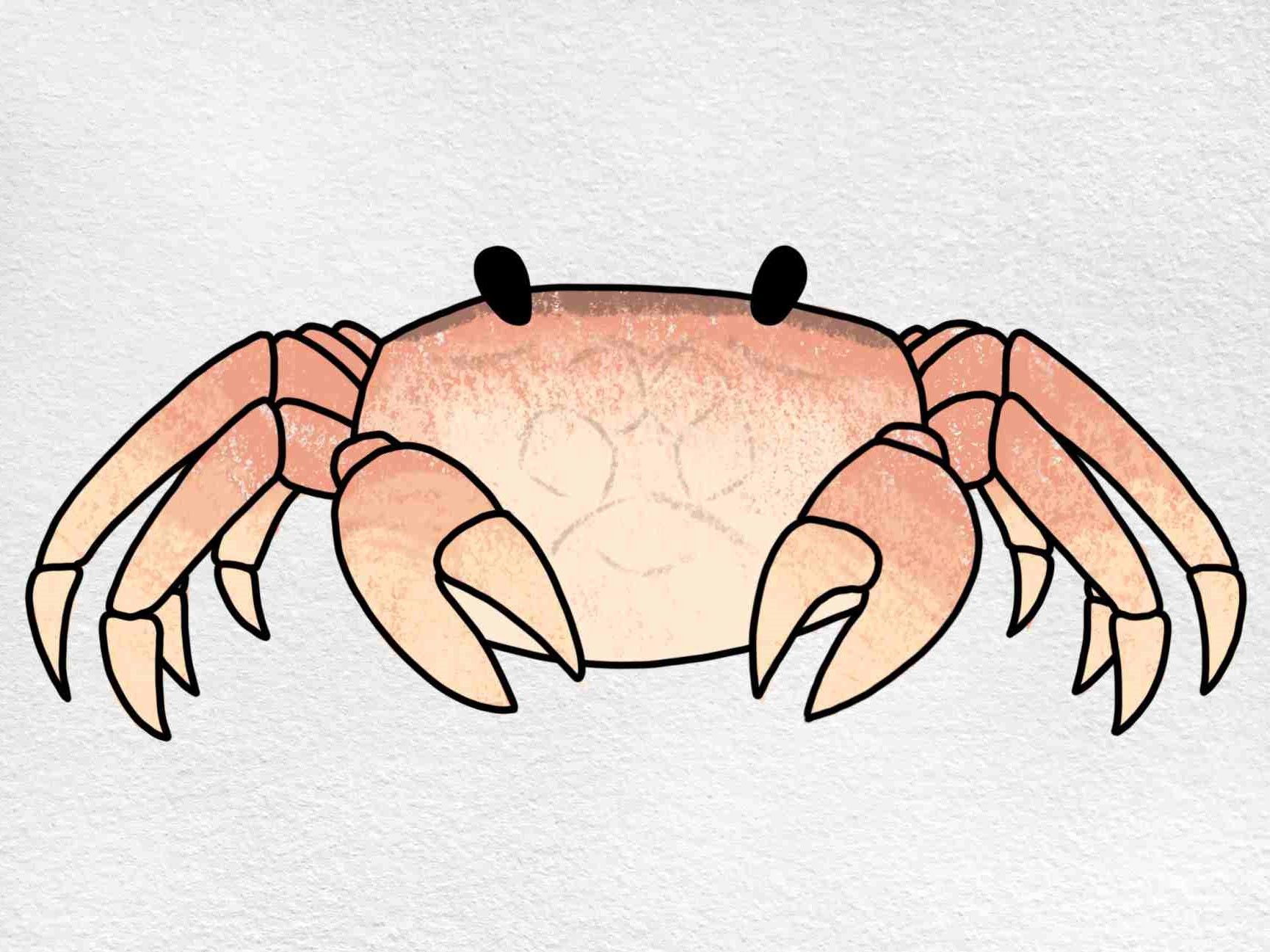 How To Draw A Crab For Beginners