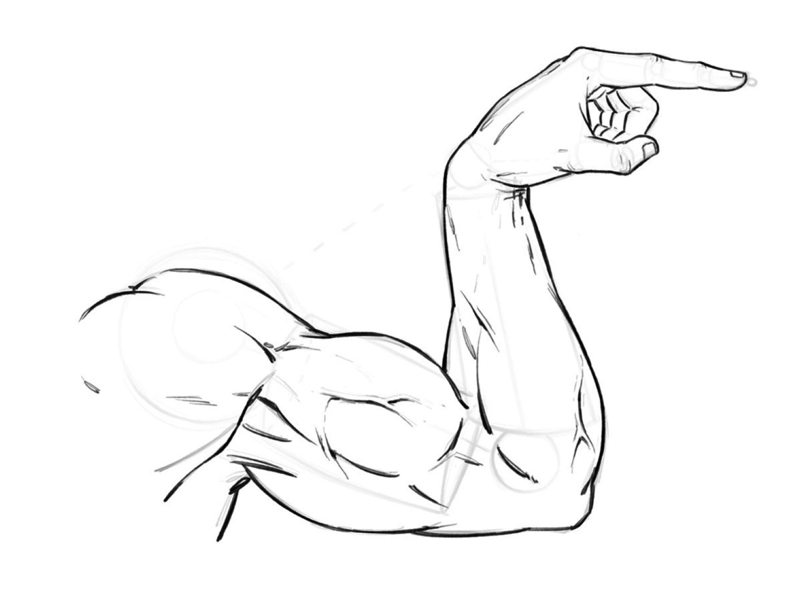 How To Draw Muscles