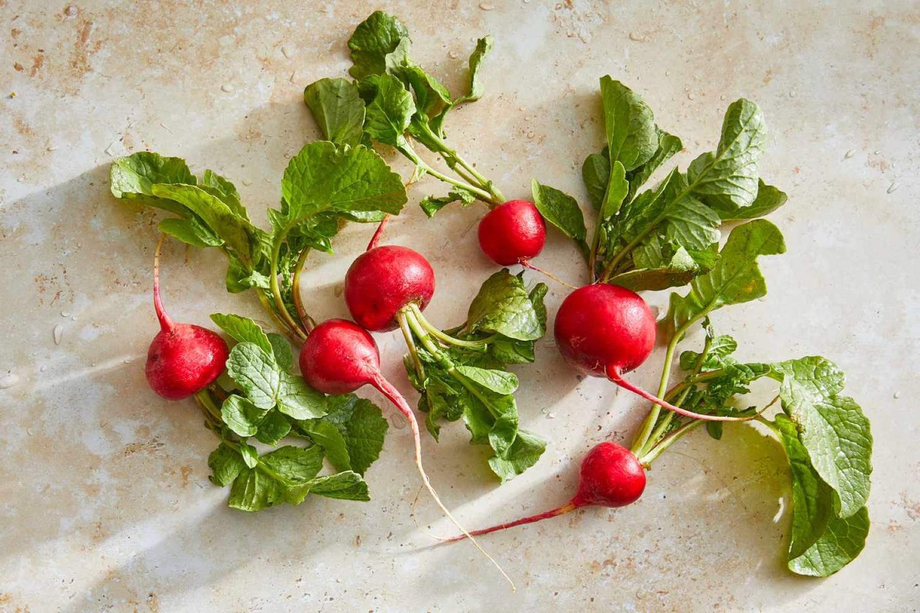 How To Store Radishes
