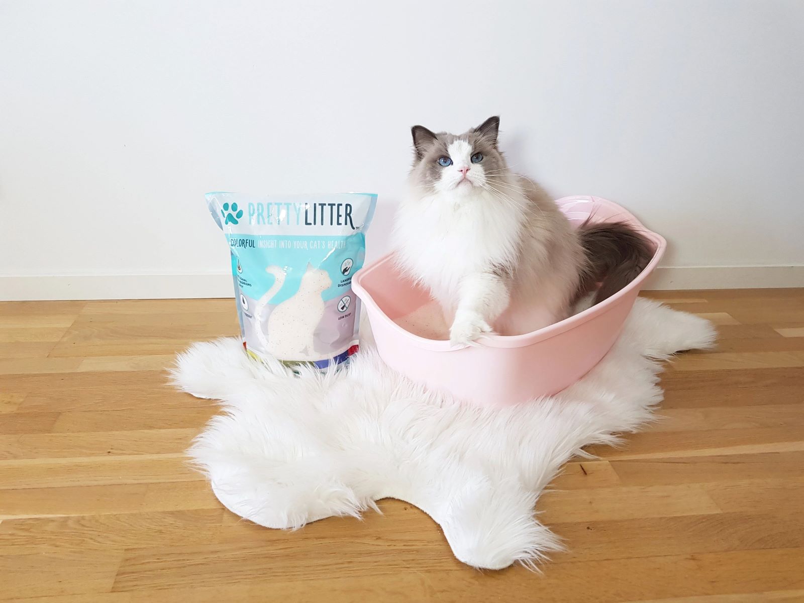Revolutionize Your Cat's Litter Routine With This Game-changing Tip!