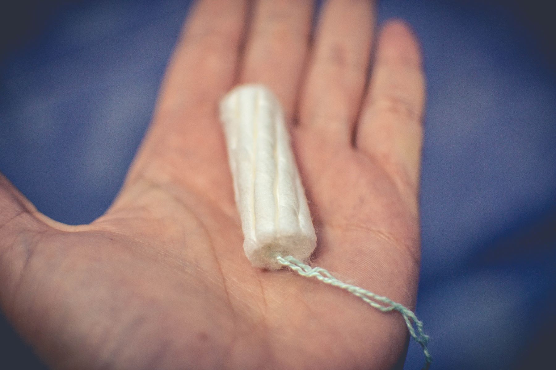 Shocking: Dog Consumes 5/6 Tampons, What Happens Next Will Amaze You!