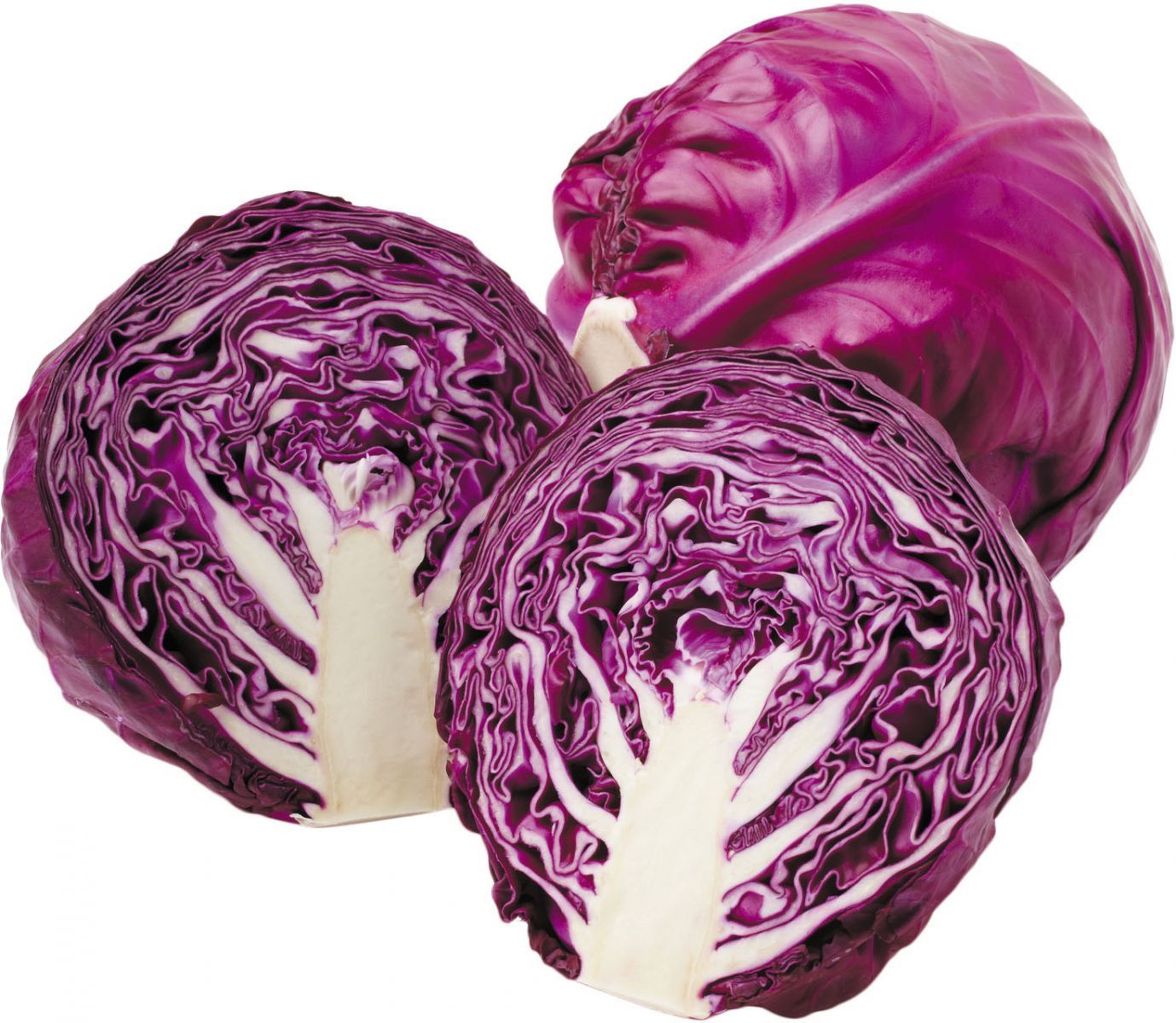 Surprising Food For Rabbits: Red Cabbage Revealed!