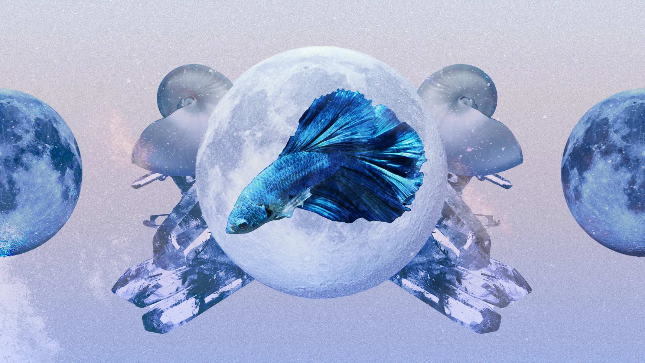 The Irresistible Allure Of Pisces: What Makes Them So Attractive?