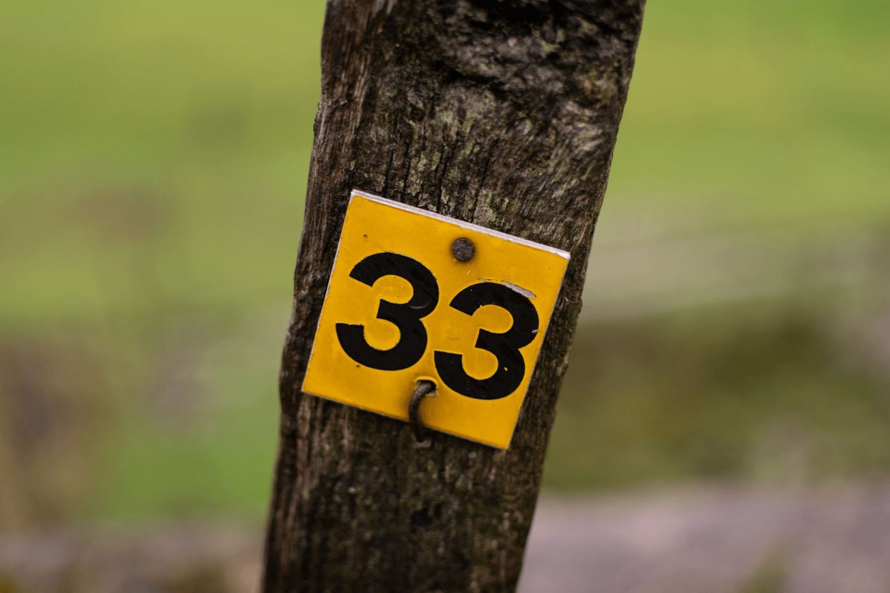 The Mysterious Significance Of The Number 33 Revealed - Why Is It Following You Everywhere?