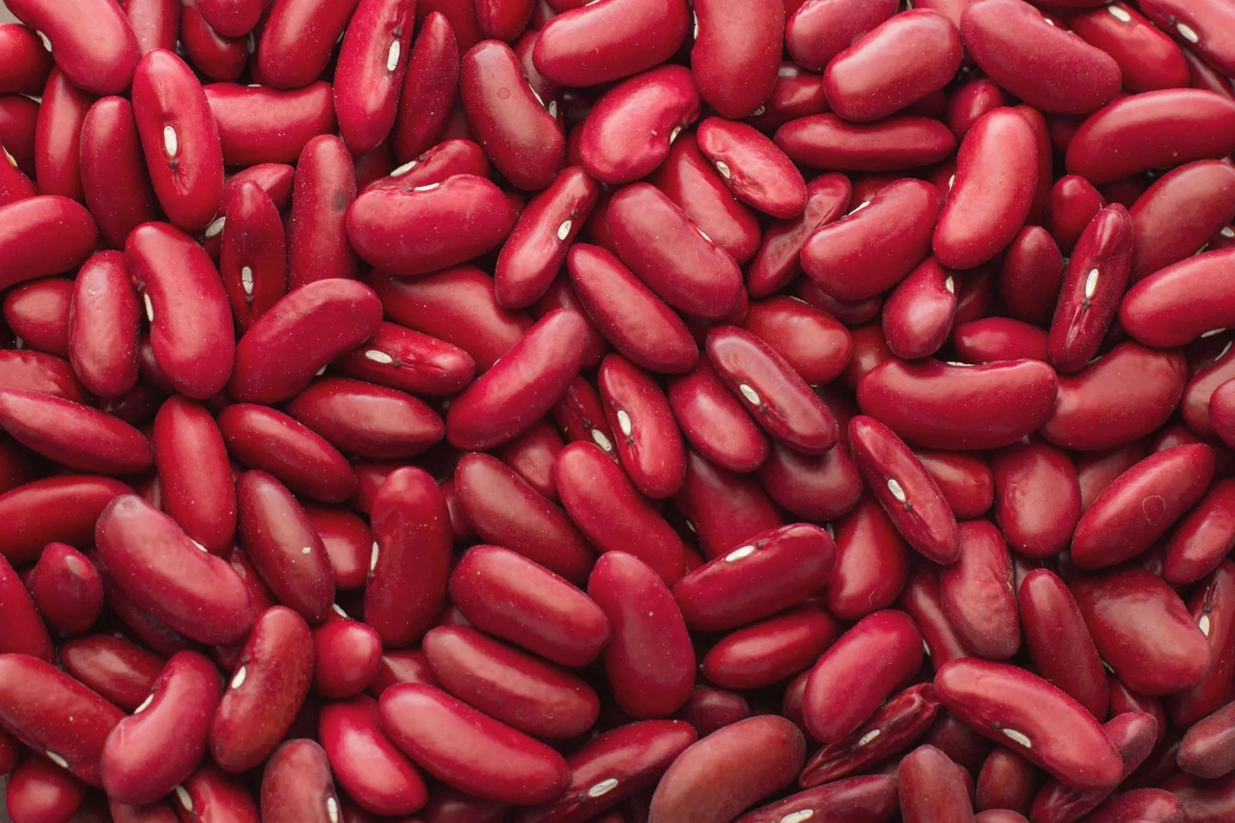 The Surprising Differences Between Dried Red Kidney And Pink Beans Revealed!