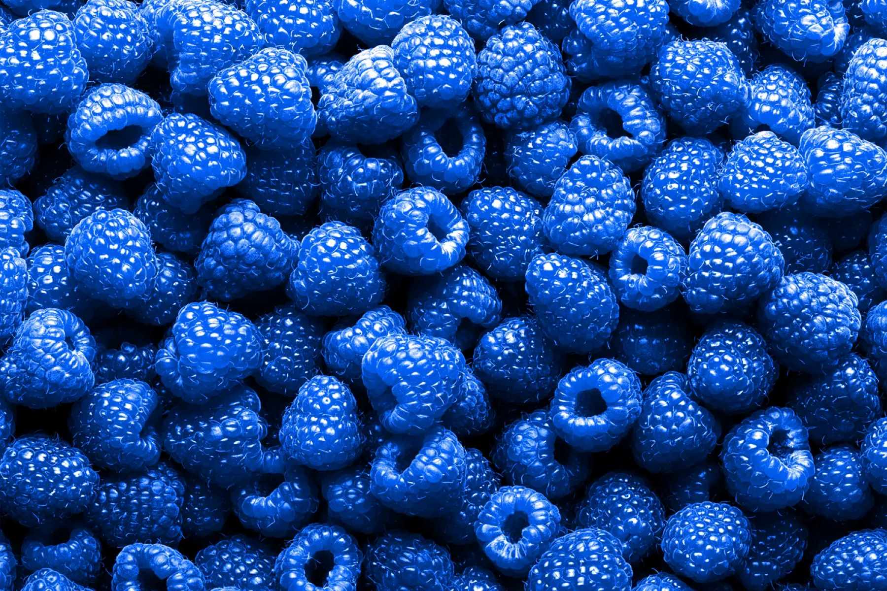 The Surprising Truth About Blue Raspberry: Is It Real Or Just A Myth?